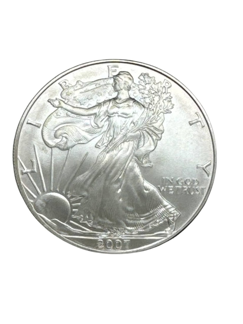 2007 American Silver Eagle 1 oz Fine Silver One Dollar Coin (1 of 6)