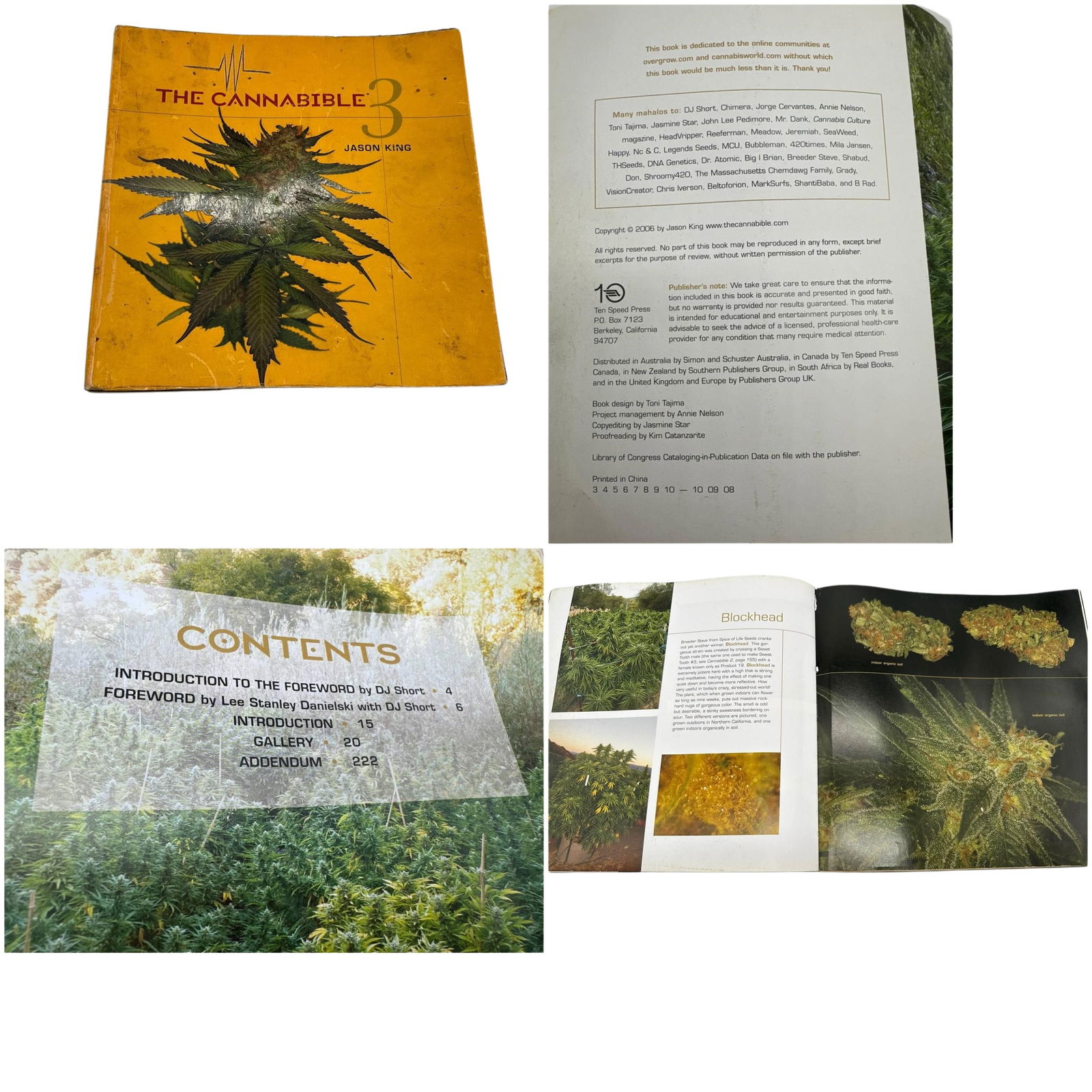 Jason King The Cannabible 3 Marijuana Reference Book 10x8 in 16 oz (1 of 5)