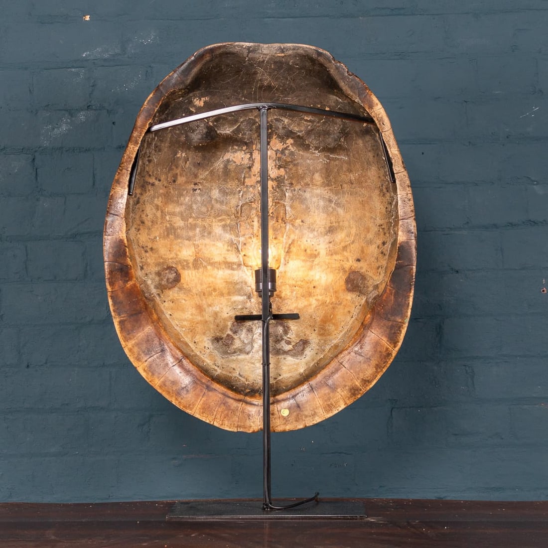 ANTIQUE 19thC "BLONDE" TURTLE SHELL ON A LAMP MOUNTED STAND - 3