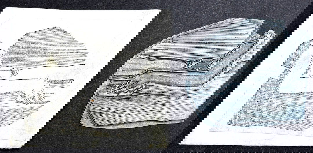 Rockwell Kent: Original zinc engraving plate ca. 1940s image of arms clasping (1 of 3)