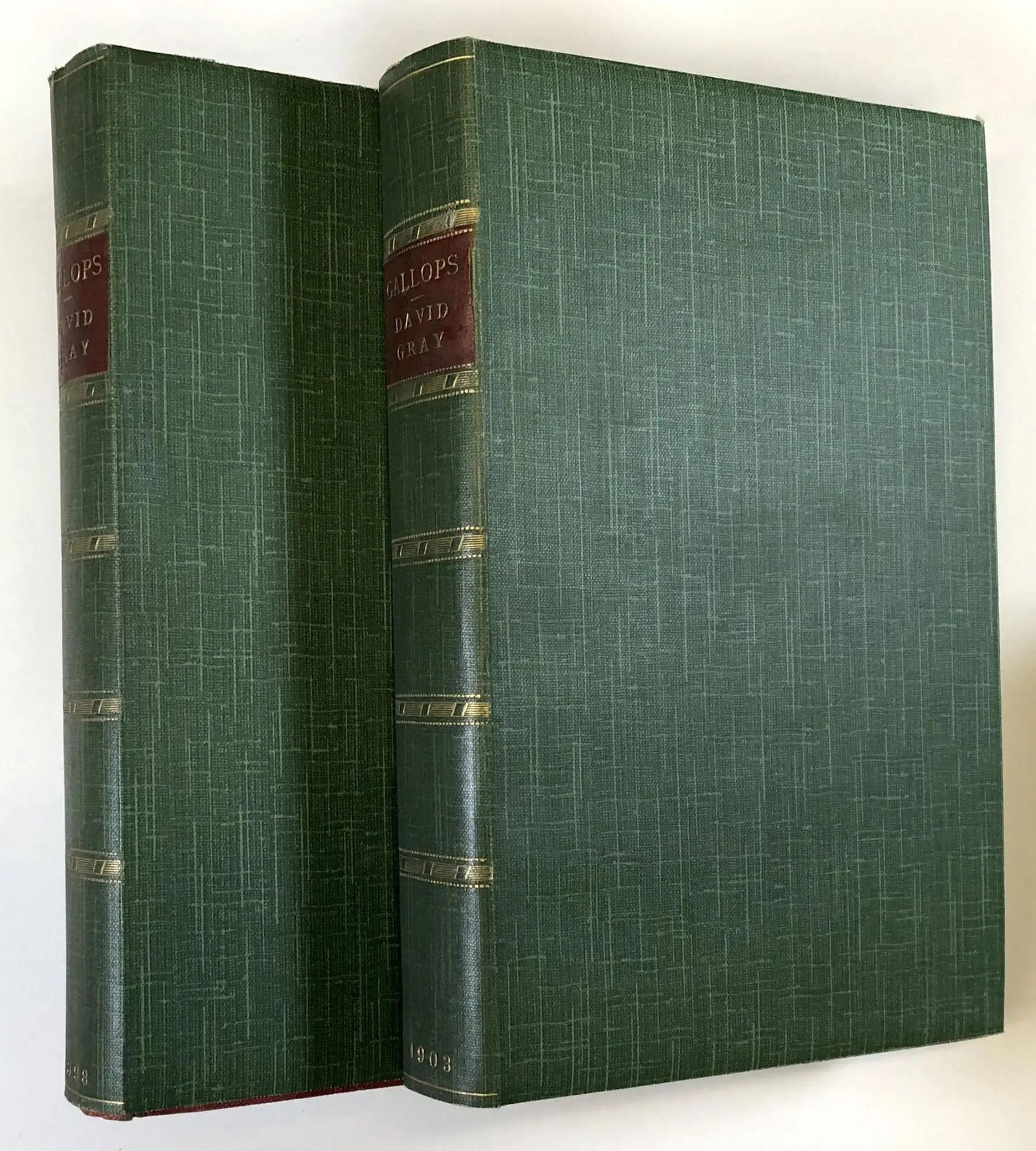 David Gray: Gallops & Gallops 2 (1898-1903), Equestrian & Fox Hunting fiction (1 of 7)