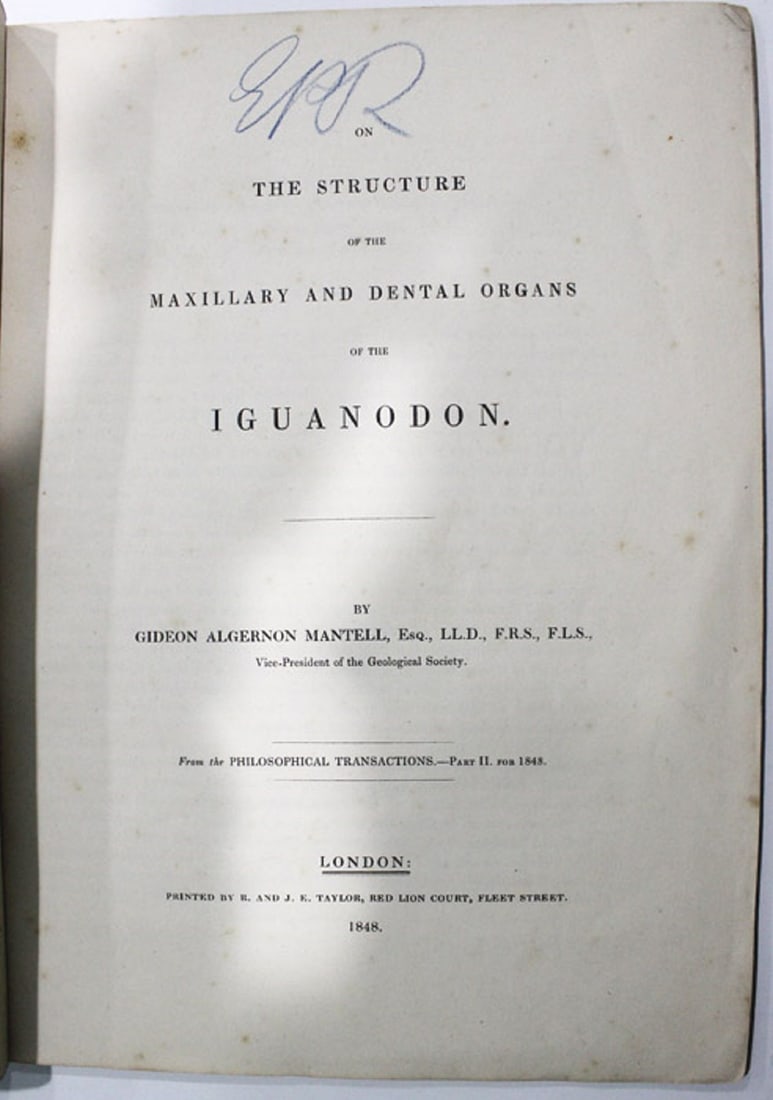 Scientific Paper - On the structure of the Maxillary and Dental Organs of the Iguanodon, London 1848: Includes numerous scientific plates Medium Ephemera, Cards & Documents Exhibited Paper Items, General