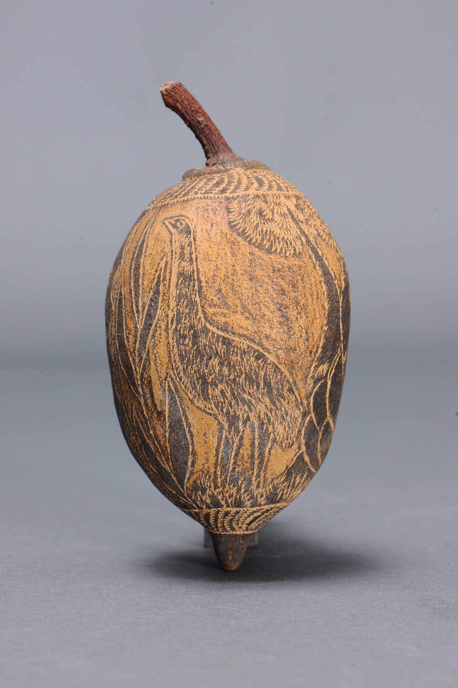 INCISED BOAB NUT, KIMBERLEY, NORTHWESTERN AUSTRALIA: Incised Boab Nut, Kimberley, North - Western Australia. Engraved boab nut. Boab nut incised with rudimentary abstract patterning and animal motifs across the surface. Size Approx L18 x 9cm. Medium Ind