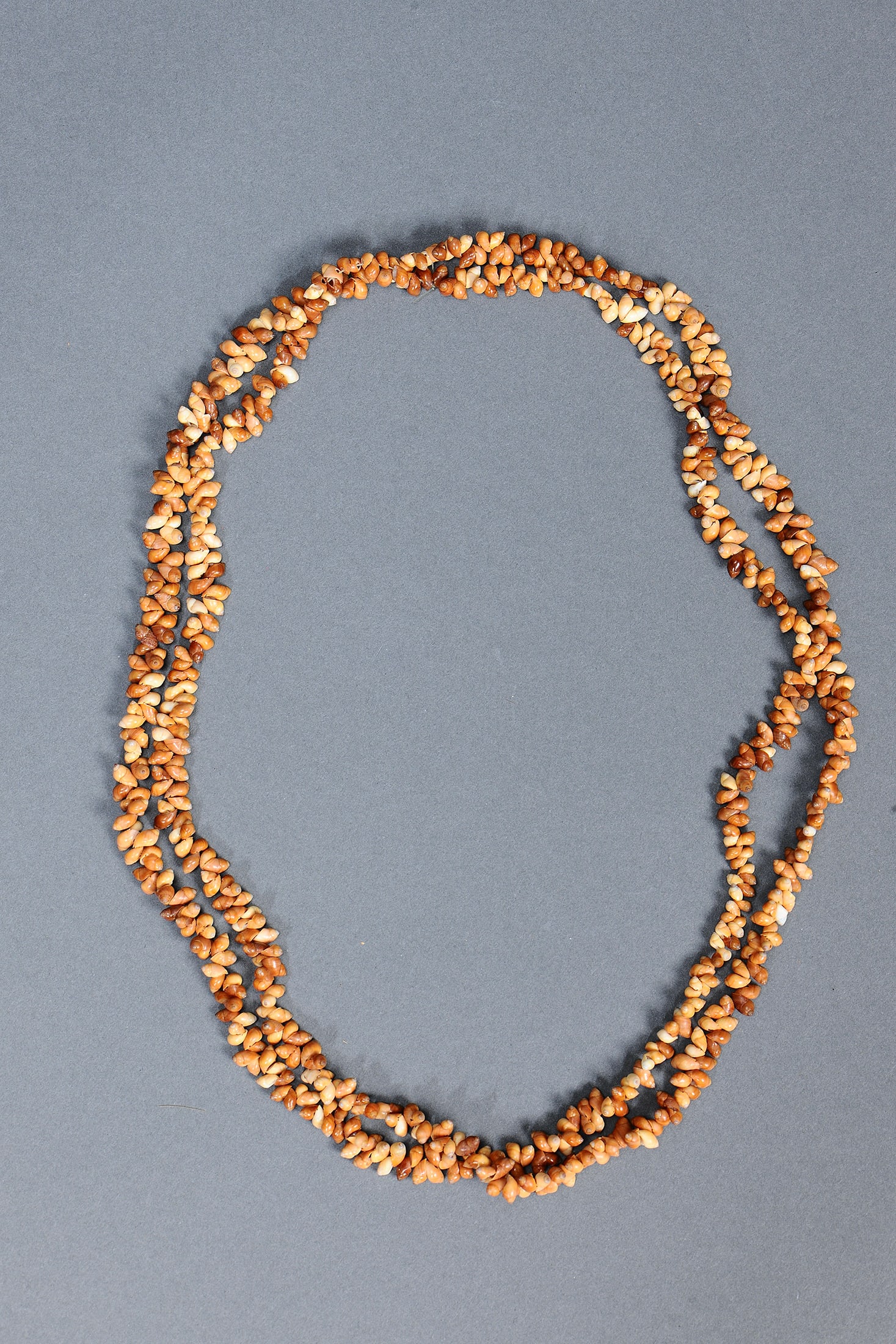 ABORIGINAL SHELL NECKLACE, TIWI GROUP, MELVILLE AND BATHURST ISLANDS, NORTHERN TERRITORY: Aboriginal Shell Necklace, Tiwi Group, Melville and Bathurst Islands, Northern Territory. Shell and natural fibre. Size Approx L68cm. Medium Indigenous Artifacts Provenance Private collection, Mel