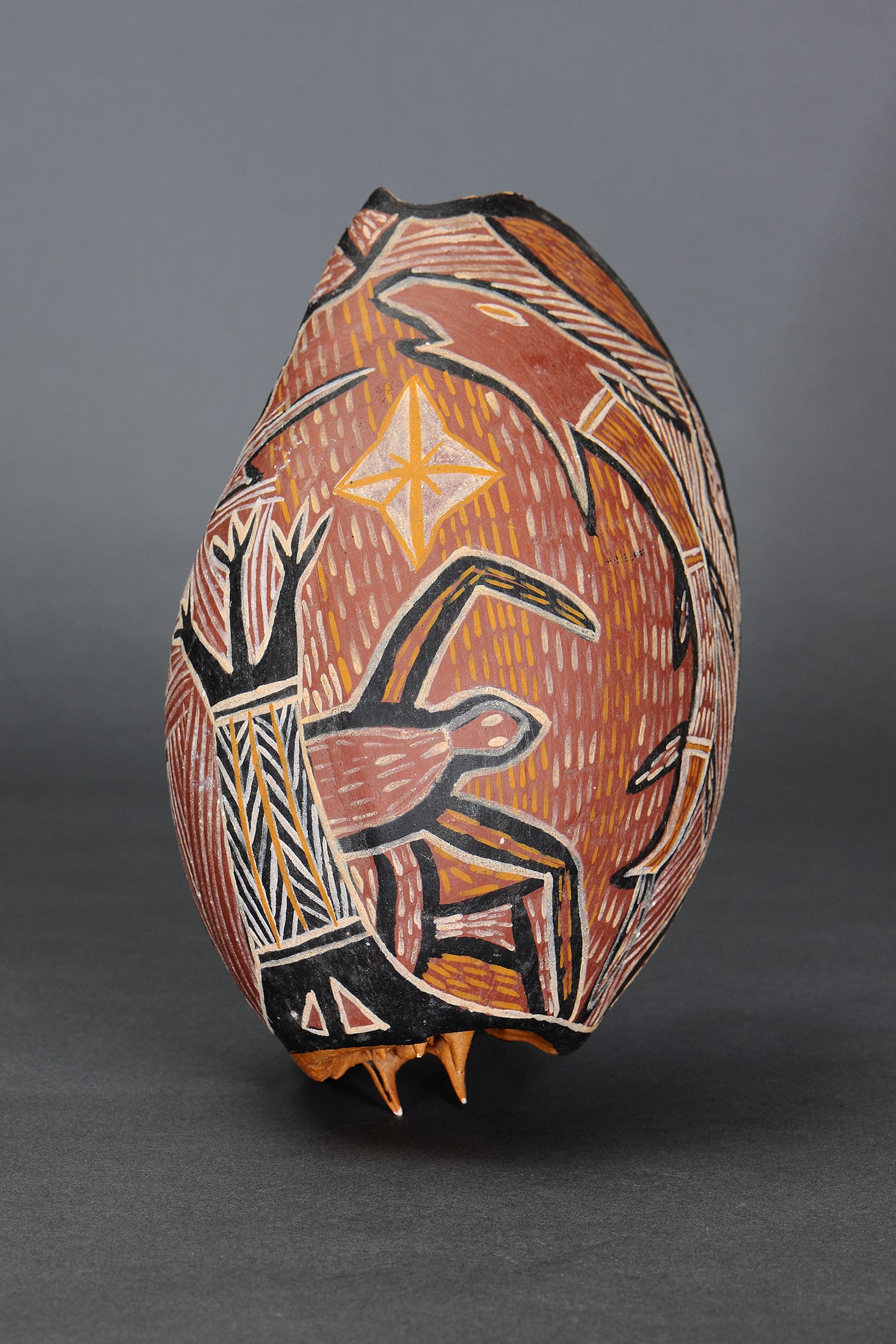 PAINTED BAILER SHELL, GROOTE EYLANDT, NORTHERN TERRITORY: Painted Bailer Shell, Groote Eylandt, Northern Territory. Natural earth pigments on shell. Size Approx L28 x 18cm. Medium Indigenous Artifacts Provenance Private Collection, Queensland