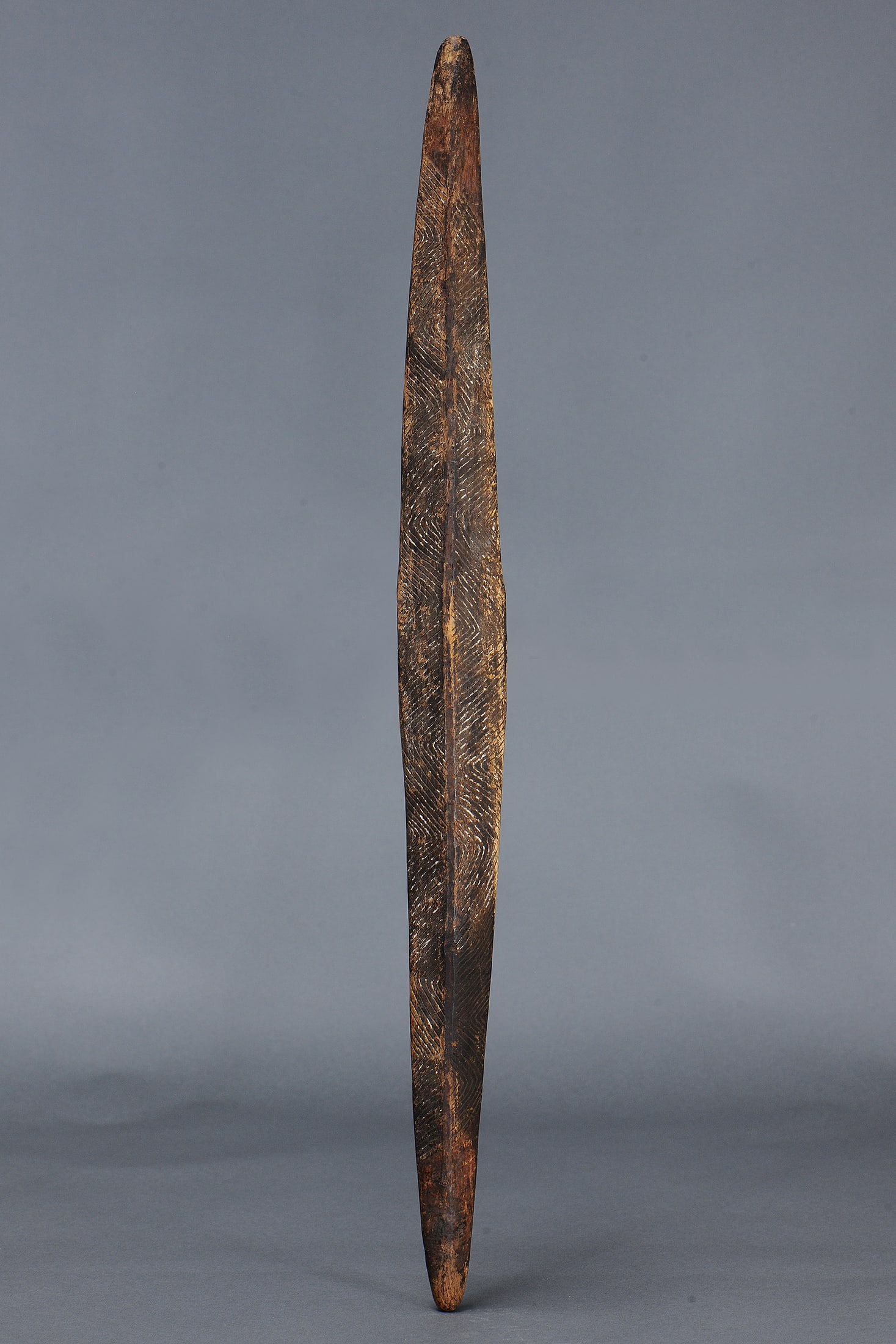 FINE EARLY PARRYING SHIELD, SOUTHEAST AUSTRALIA (1 of 8)