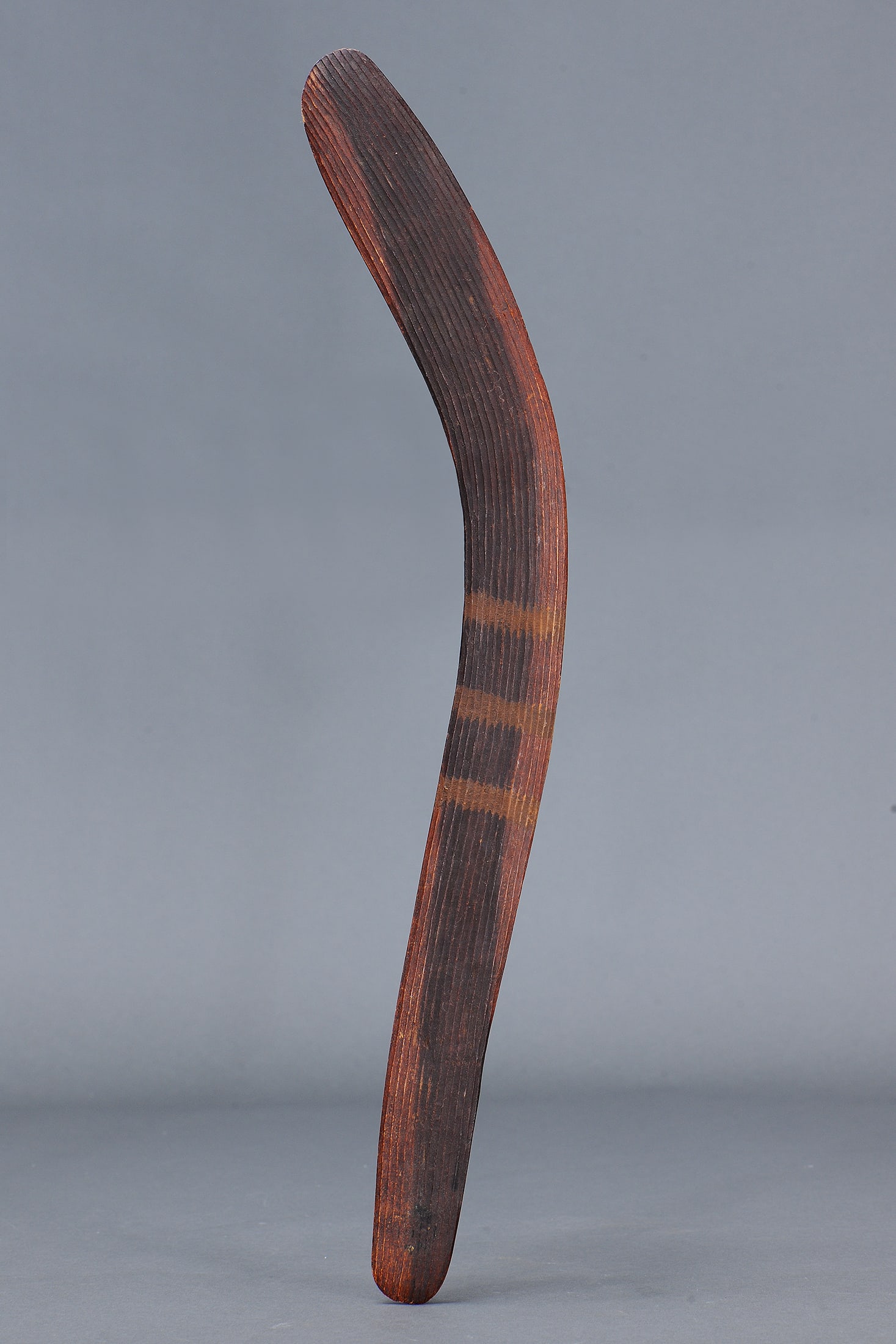 HUNTING BOOMERANG, CENTRAL AUSTRALIA, NORTHERN TERRITORY: Hunting Boomerang, Central Australia, Northern Territory. Carved and engraved hardwood and natural pigments. Classic hunting boomerang, the front decorated with finely fluted design, finely adzed on t
