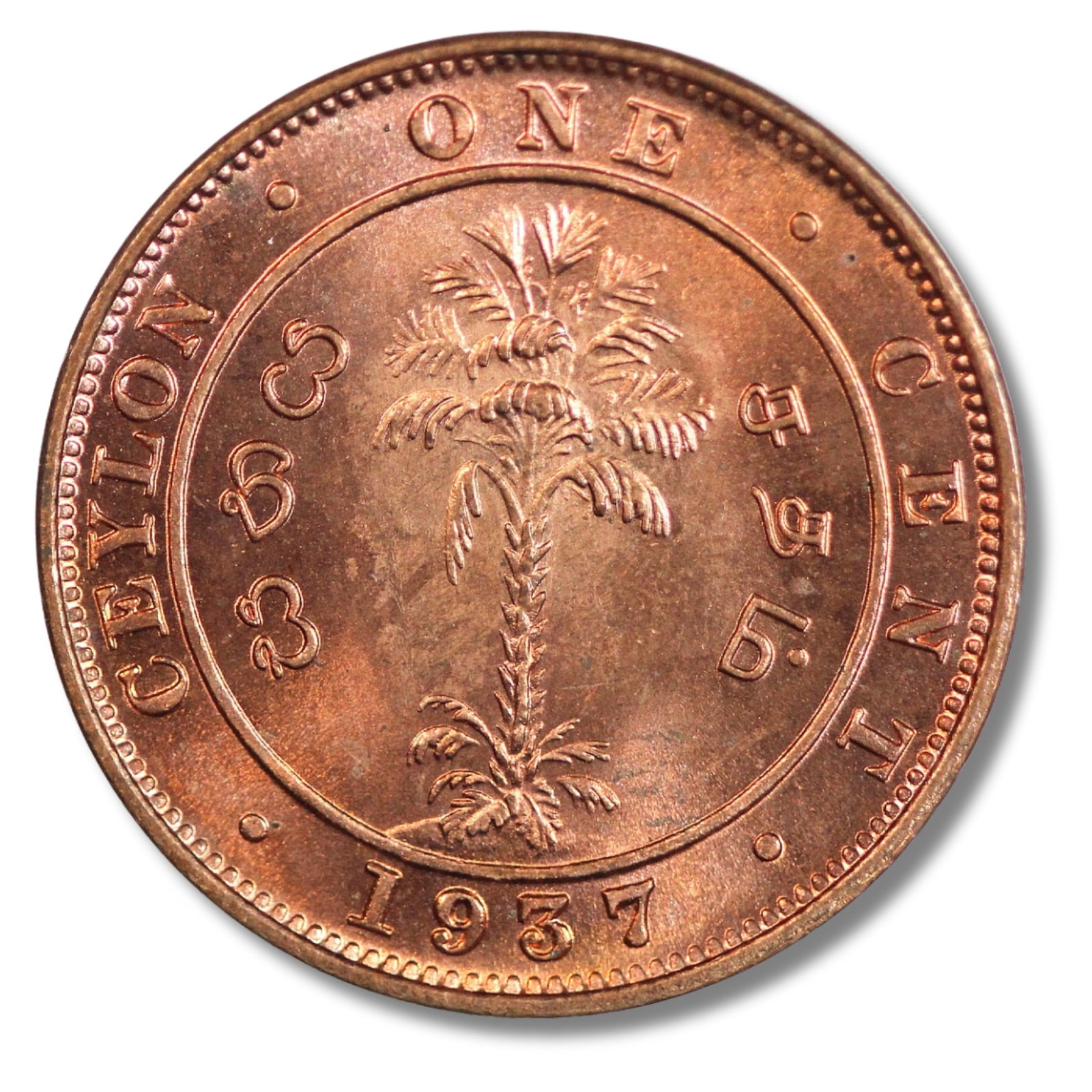 Ceylon 1937 Cent, Red Gem: Highest graded NGC MS65 RD & PCGS MS65 RDConditionFull RedMediumCoins, Monies & StampsLiteraturePCGS MS65 RD sold USD $184 (eBay 10/19)ExhibitedCoins, Asia