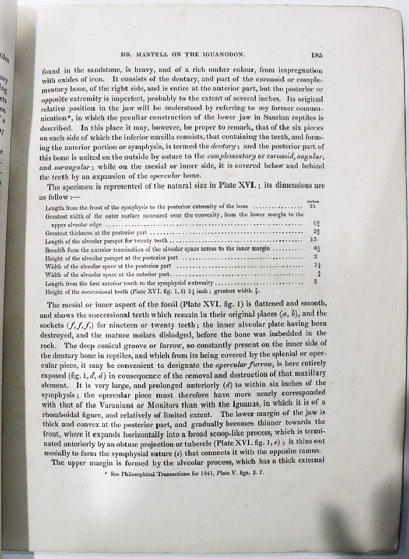 Scientific Paper - On the structure of the Maxillary and Dental Organs of the Iguanodon, London 1848 - 2