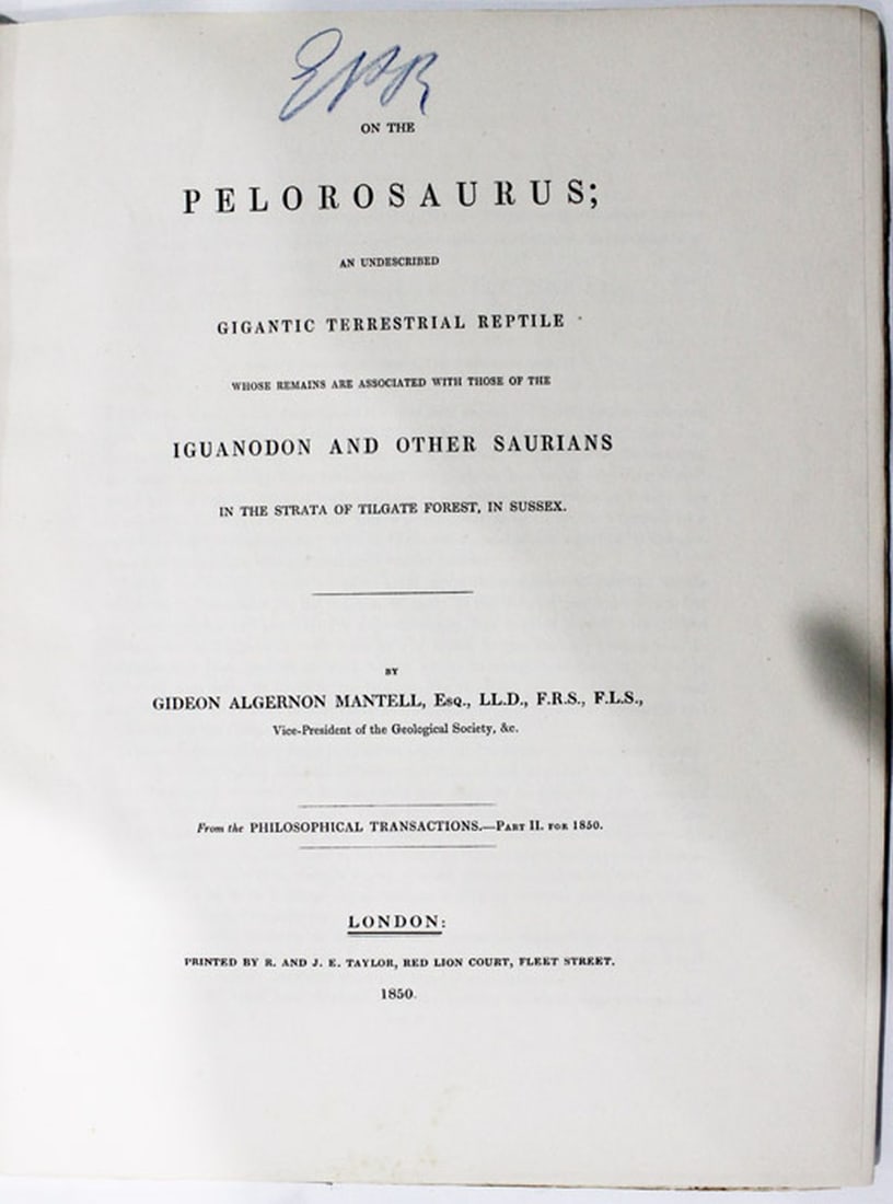 Scientific Paper - On the Pelorosaurus an undescribed Gigantic Terrestrial Reptile - 3