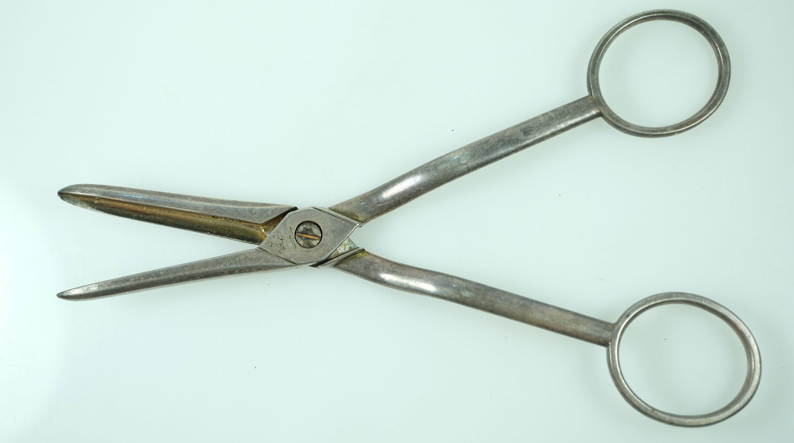 Georgian Era Grape Scissors In Silver - 2