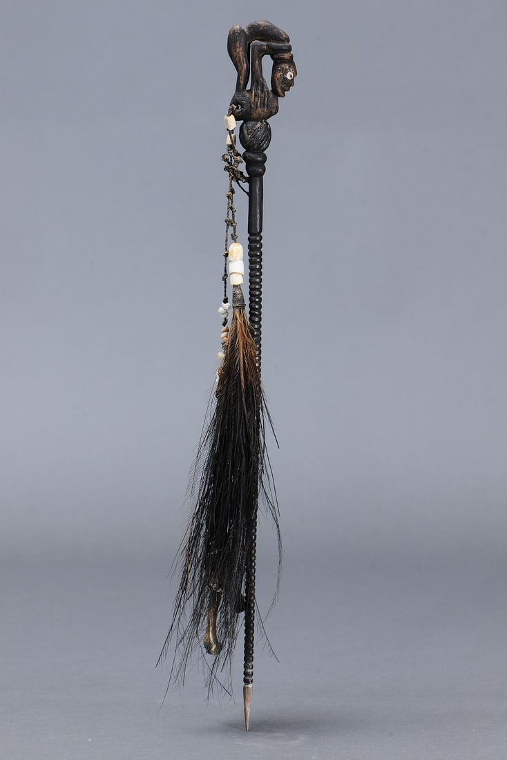 RARE EARLY LIME SPATULA, YUAT RIVER, PAPUA NEW GUINEA - 2