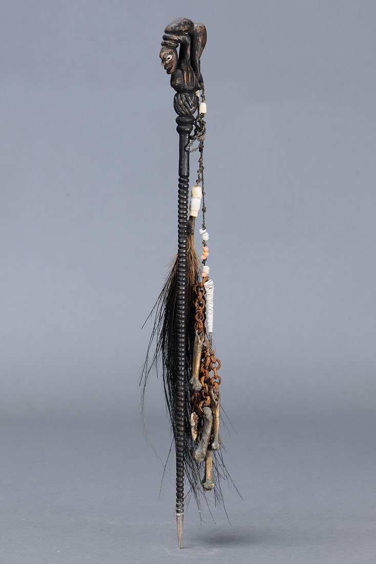 RARE EARLY LIME SPATULA, YUAT RIVER, PAPUA NEW GUINEA - 5