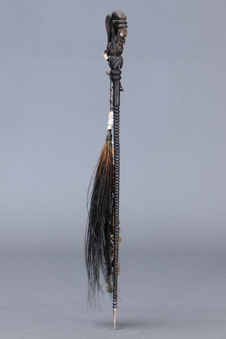 RARE EARLY LIME SPATULA, YUAT RIVER, PAPUA NEW GUINEA - 6