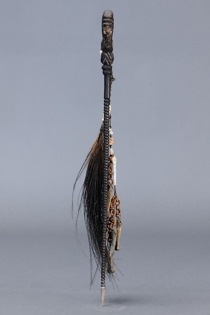 RARE EARLY LIME SPATULA, YUAT RIVER, PAPUA NEW GUINEA - 7