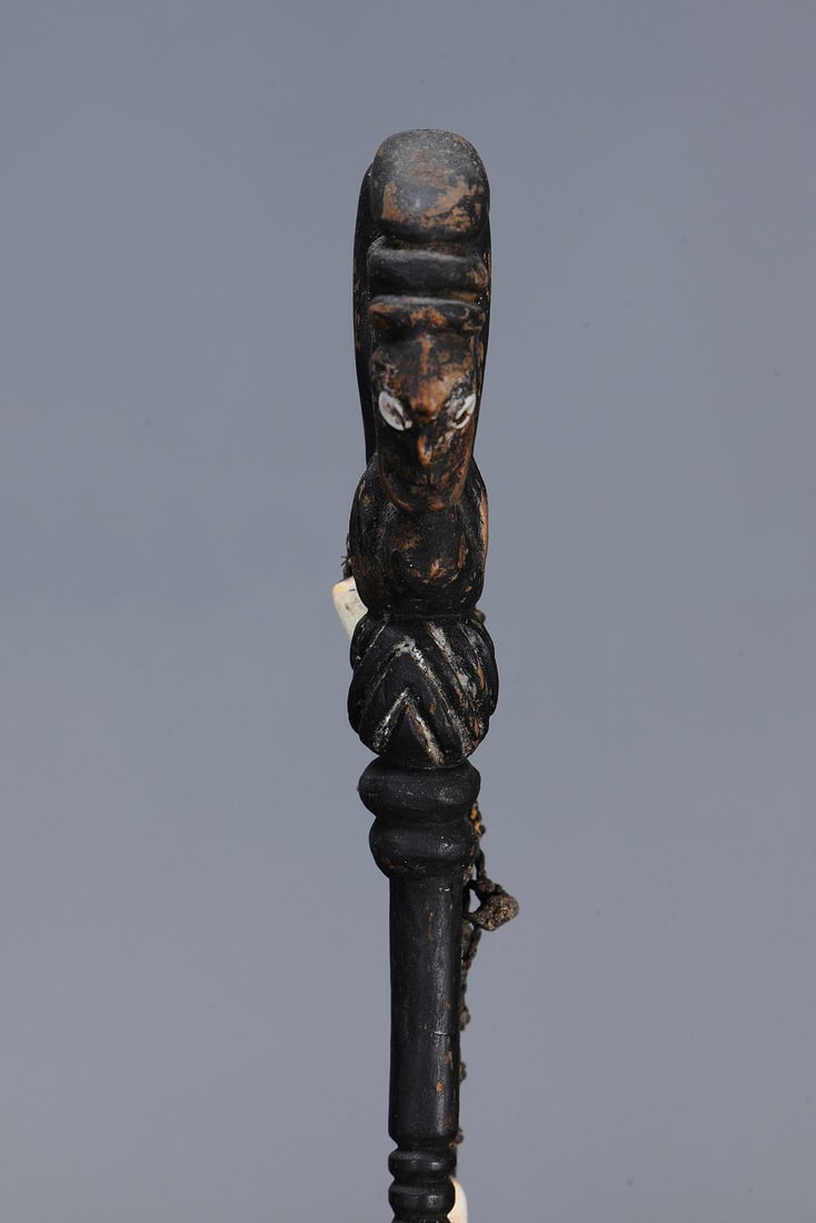 RARE EARLY LIME SPATULA, YUAT RIVER, PAPUA NEW GUINEA - 9