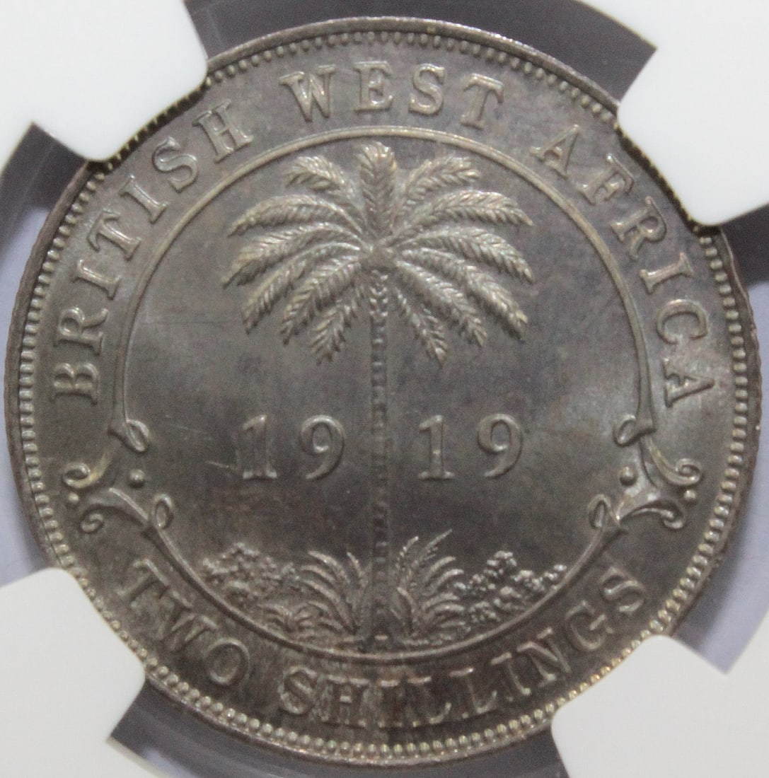 British West Africa 1919 H 'Specimen' Two Shilling, NGC SP66 (Pop 2) - 2
