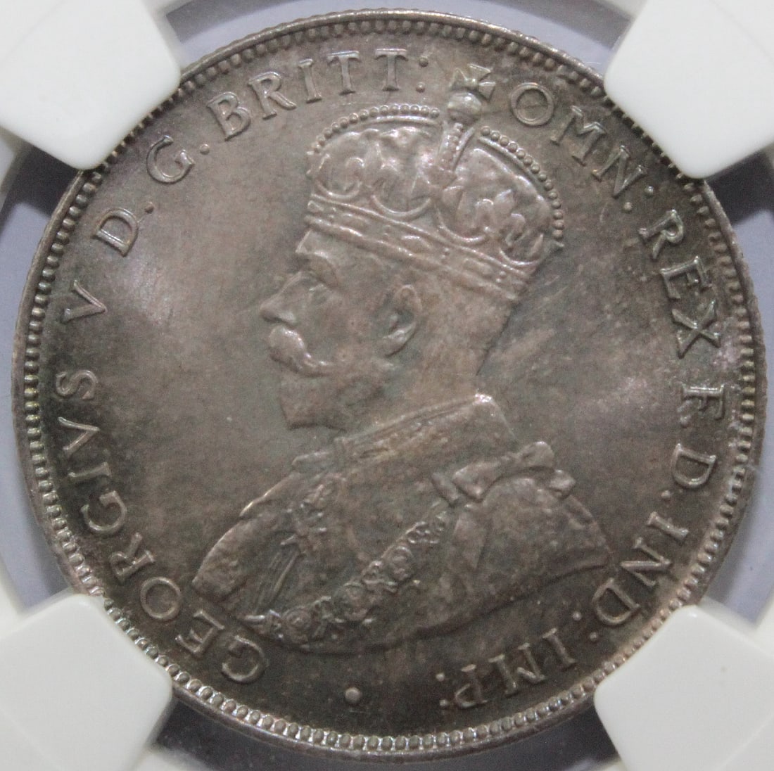 British West Africa 1919 H 'Specimen' Two Shilling, NGC SP66 (Pop 2) - 3