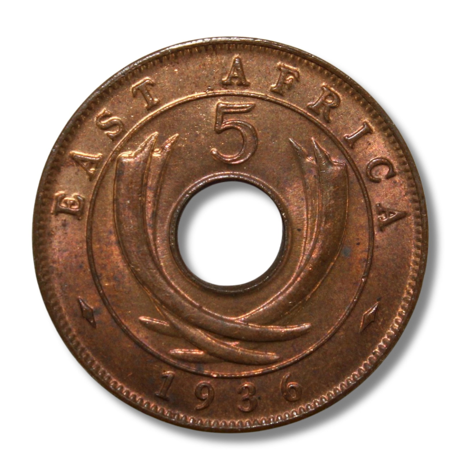 East Africa (British) 1936 H Five Cent, Choice Uncirculated: Highest graded NGC MS66 RD & PCGS none Condition R&B Medium Coins, Monies & Stamps Provenance Ex Mark Freehill Collection