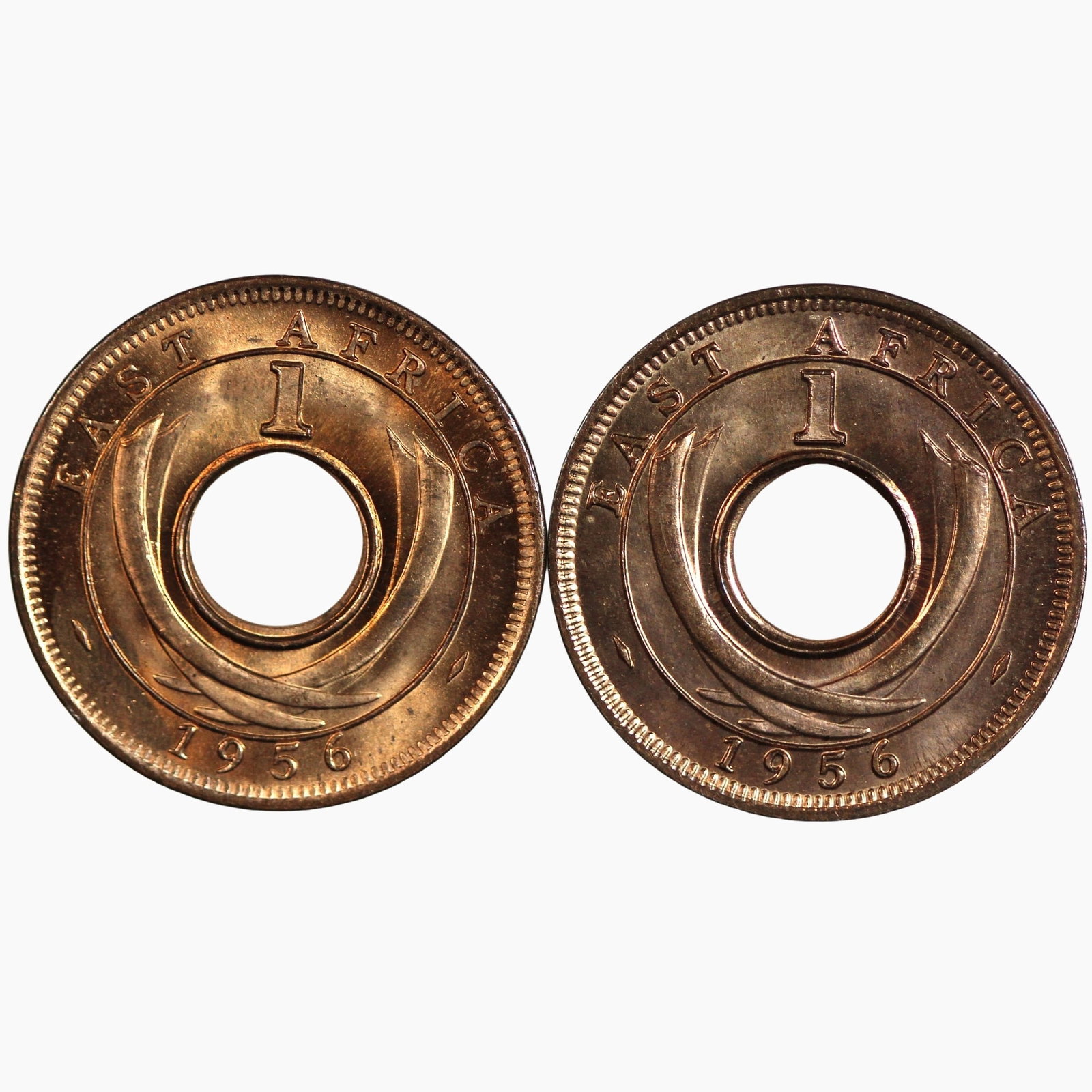 East Africa (British) 1956 KN 'Specimen' Cent, Gem with Circulation strike for comparison (2 coins) (1 of 2)