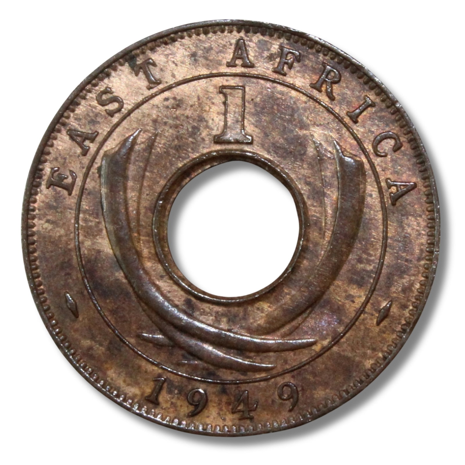 East Africa (British) 1949 (L) Cent, NGC MS62 RB (1) (Top of Pops) (1 of 2)