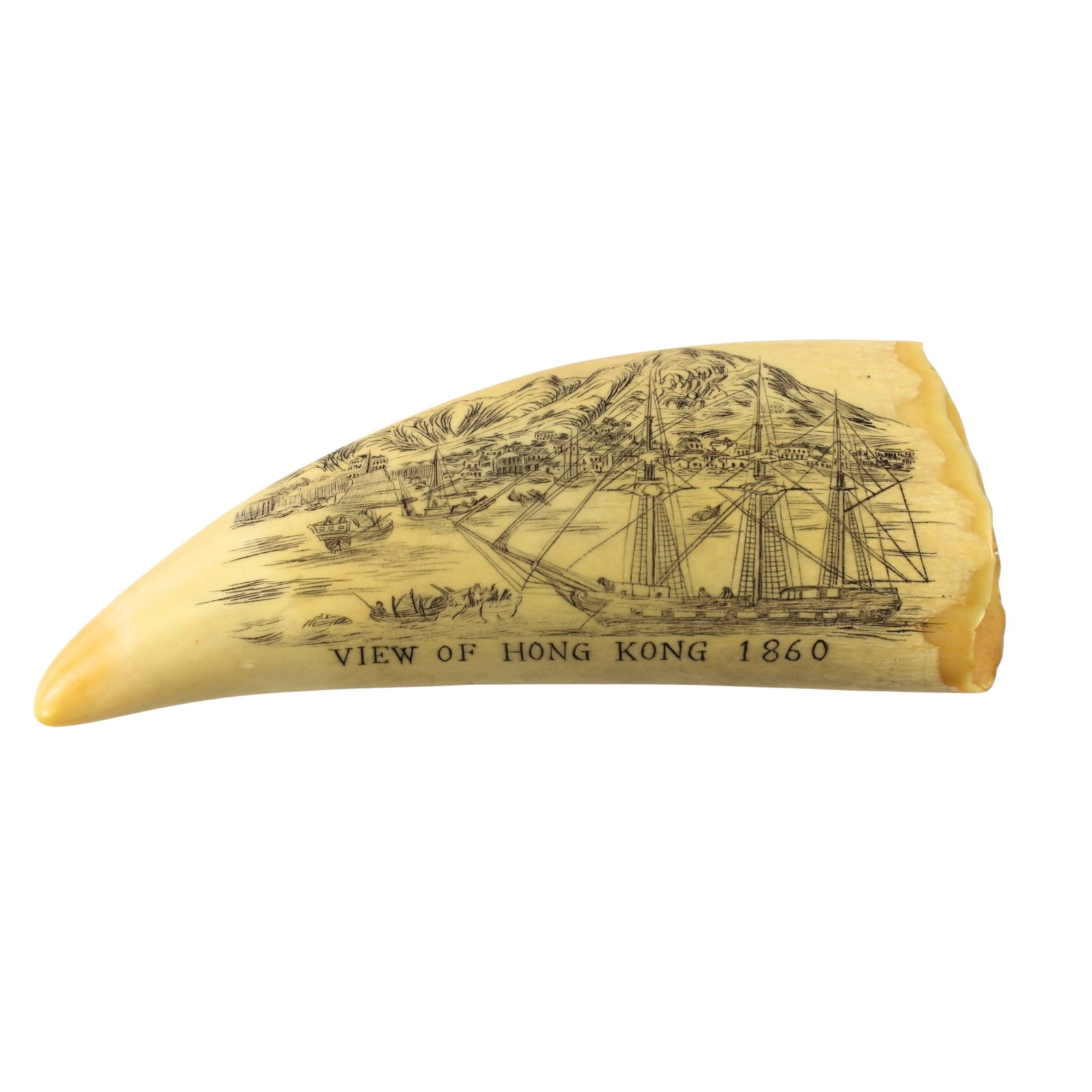 Antique 19th Century Whale Tooth 'Scrimshaw' (1 of 5)