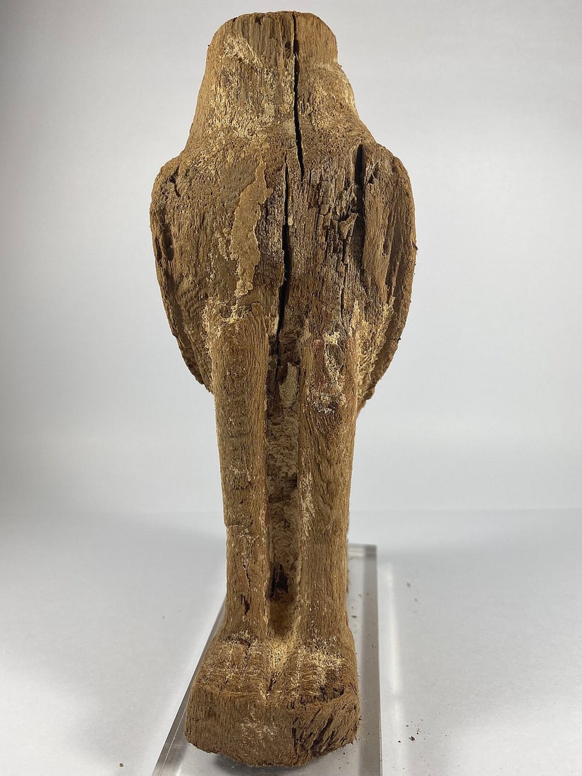Ancient Ptolemaic (Egyptian) Wooden Statue of Horus in the form of a Falcon - 3