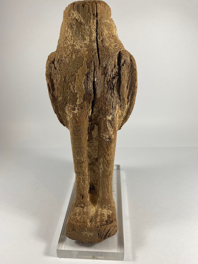 Ancient Ptolemaic (Egyptian) Wooden Statue of Horus in the form of a Falcon - 4