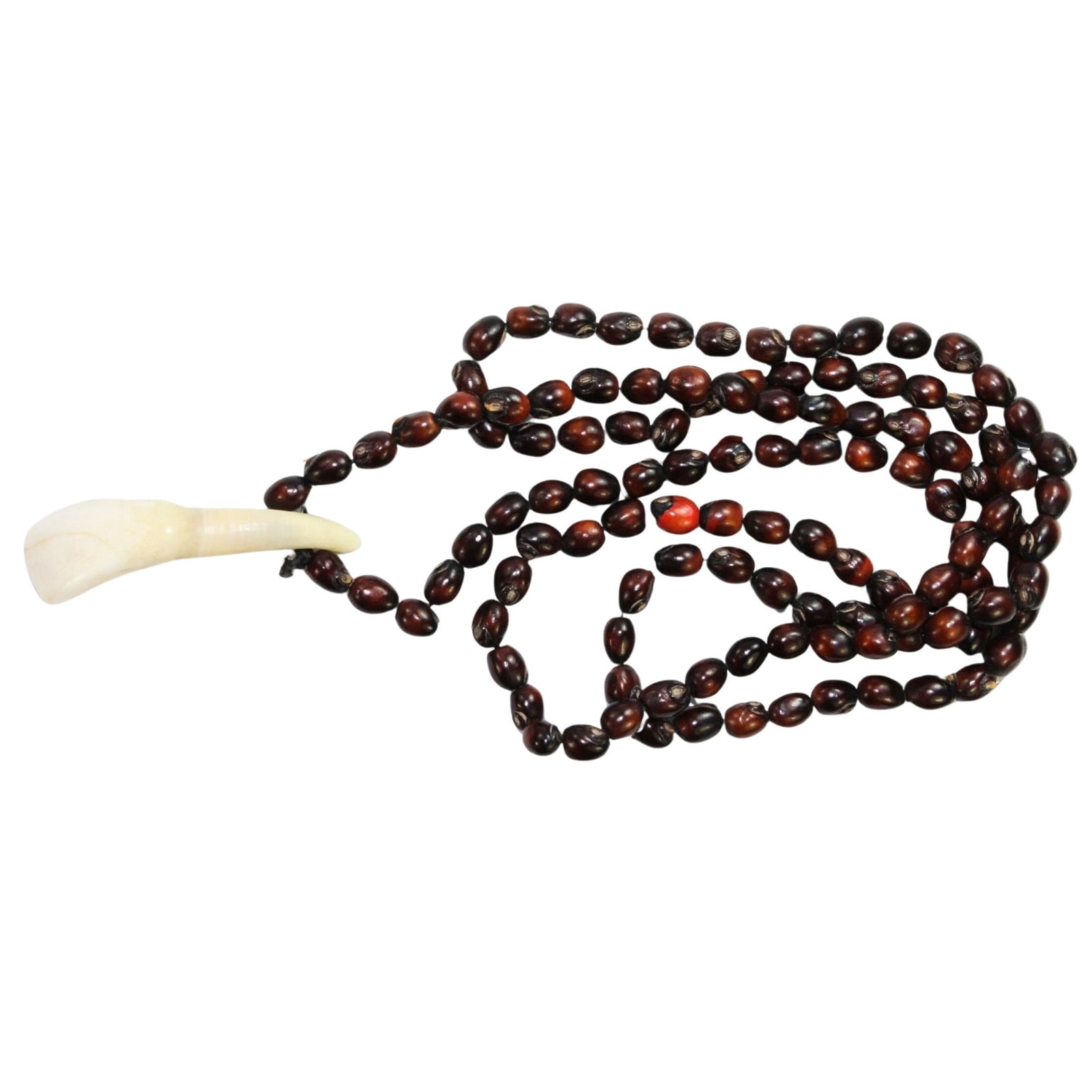 New Guinea. Native Pig's Tooth & Seed Necklace: . Size Hangs 37cms Medium Ethnographic & Indigenous Artifacts