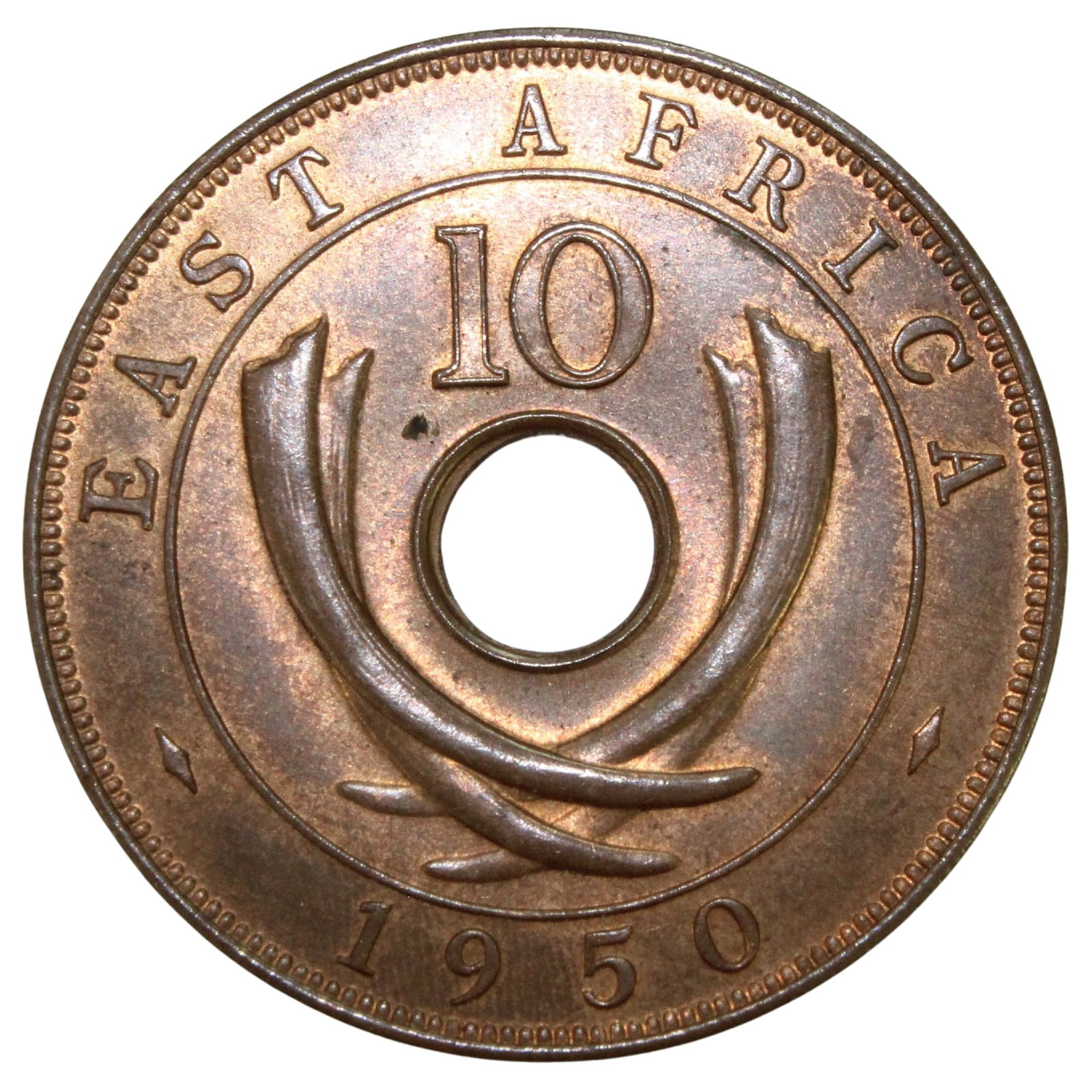 East Africa (British) 1950 Ten Cent, near Gem: Highest Graded NGC None & PCGS MS63 RB Condition Lustrous with light toning in fields Medium Collectables Provenance Ex Mark Freehill Collection