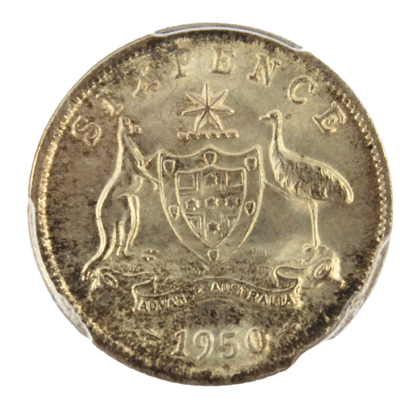 Australia 1950 Sixpence, PCGS MS64 (Pop 31 / Higher 32): George VI Size . Medium Coins, Monies & Stamps Exhibited Coins, Australia & New Zealand