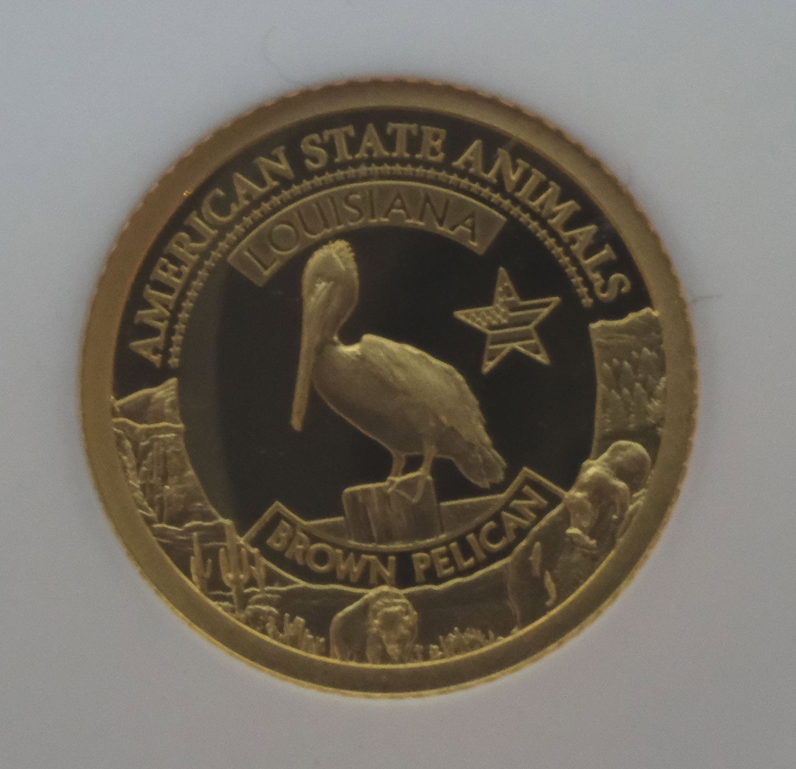 Cook Islands 2021 'Louisiana Brown Pelican' Gold (999) $5, NGC PF70 Ultra Cameo - 2