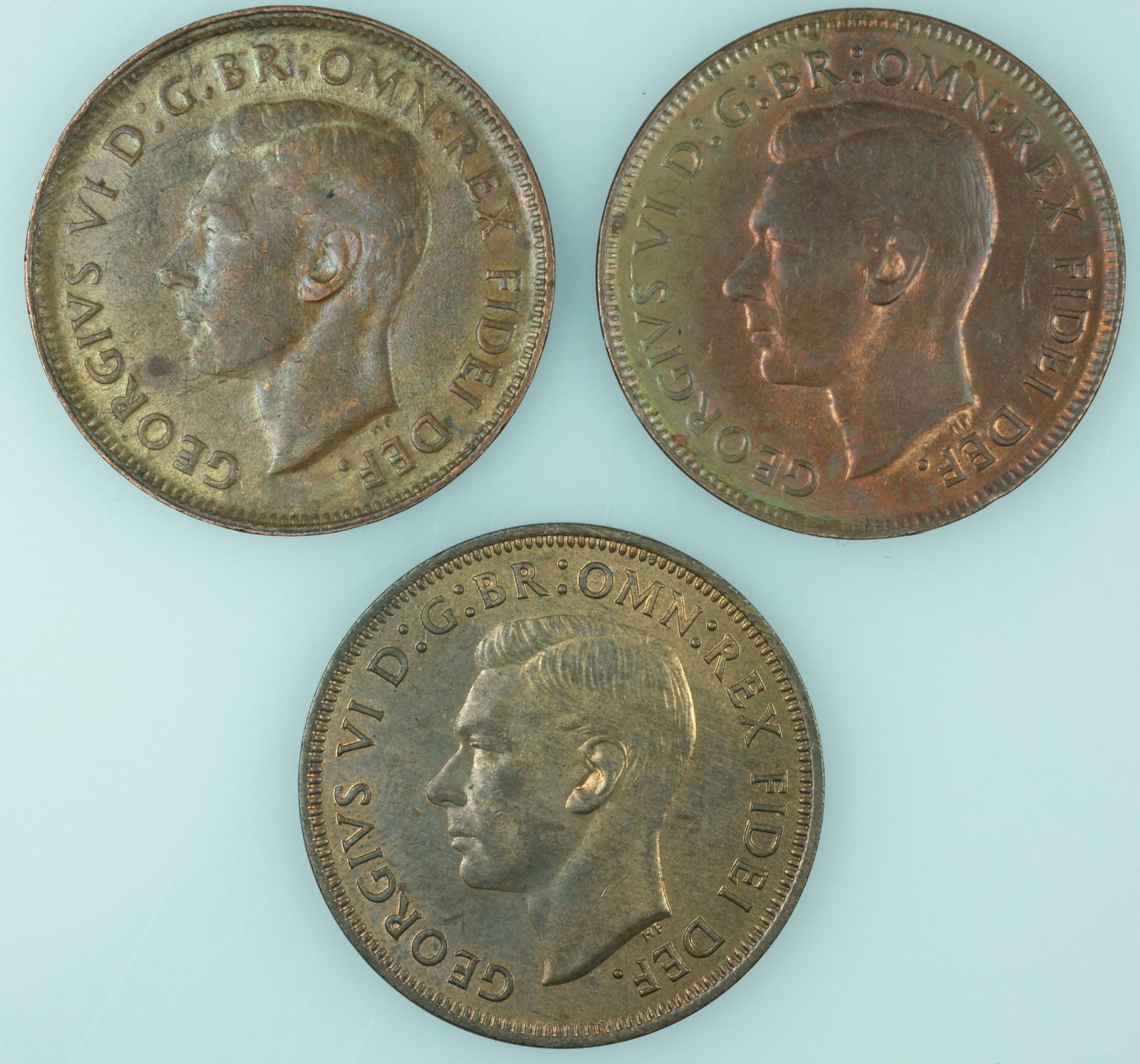 Australia 1951 Y. (Obv 4), 1951 Y. (Obv 5) & 1951 PL Halfpennies, Uncirculated RB (3 coins) - 2