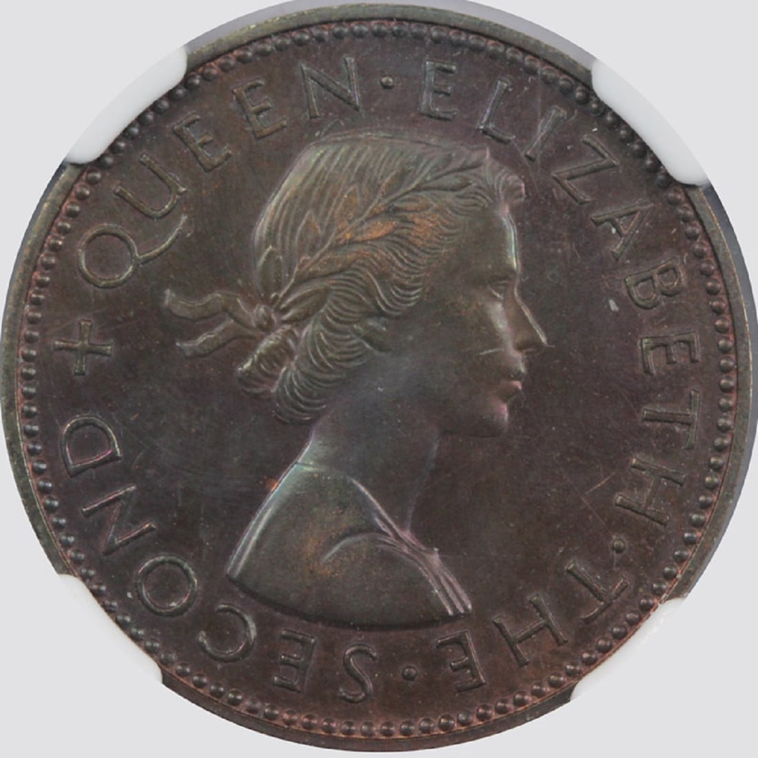 New Zealand 1960 Proof Halfpenny, NGC PF 65 BN (Pop 1) - 3