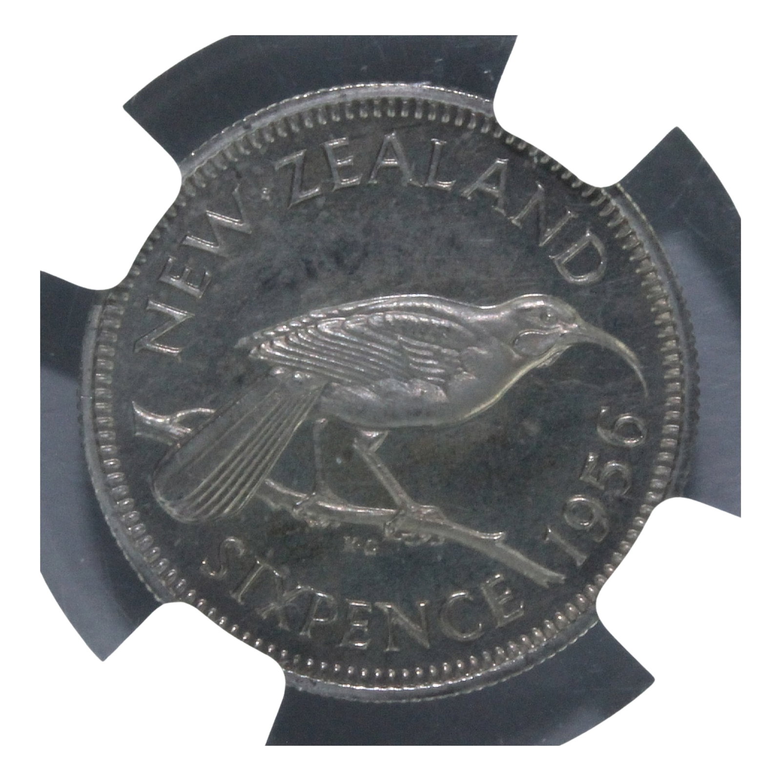 New Zealand 1956 Proof Sixpence, NGC PF66 Cameo (Pop 1): Highest graded NGC PF66 Cam (1) & PCGS PR66 Cam (2) 68 Deep Cam (1) Medium Coins, Monies & Stamps