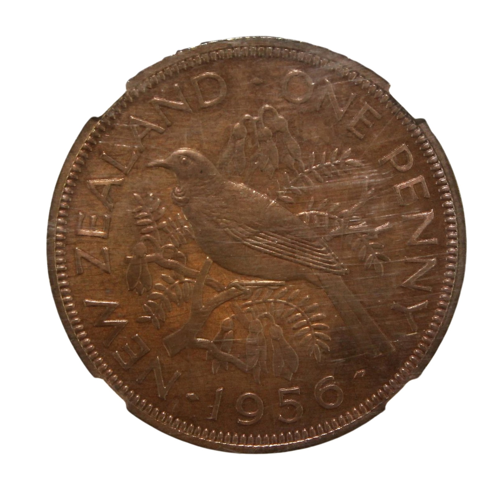 New Zealand 1956 Penny with Shoulder Strap, NGC PF64 RB (Pop 1): Highest graded NGC PF66 RB Cam (1) 67 RB Deep Cam (1) & PCGS PR65RB (1) 67RB (1) 67RD (1) Medium Coins, Monies & Stamps