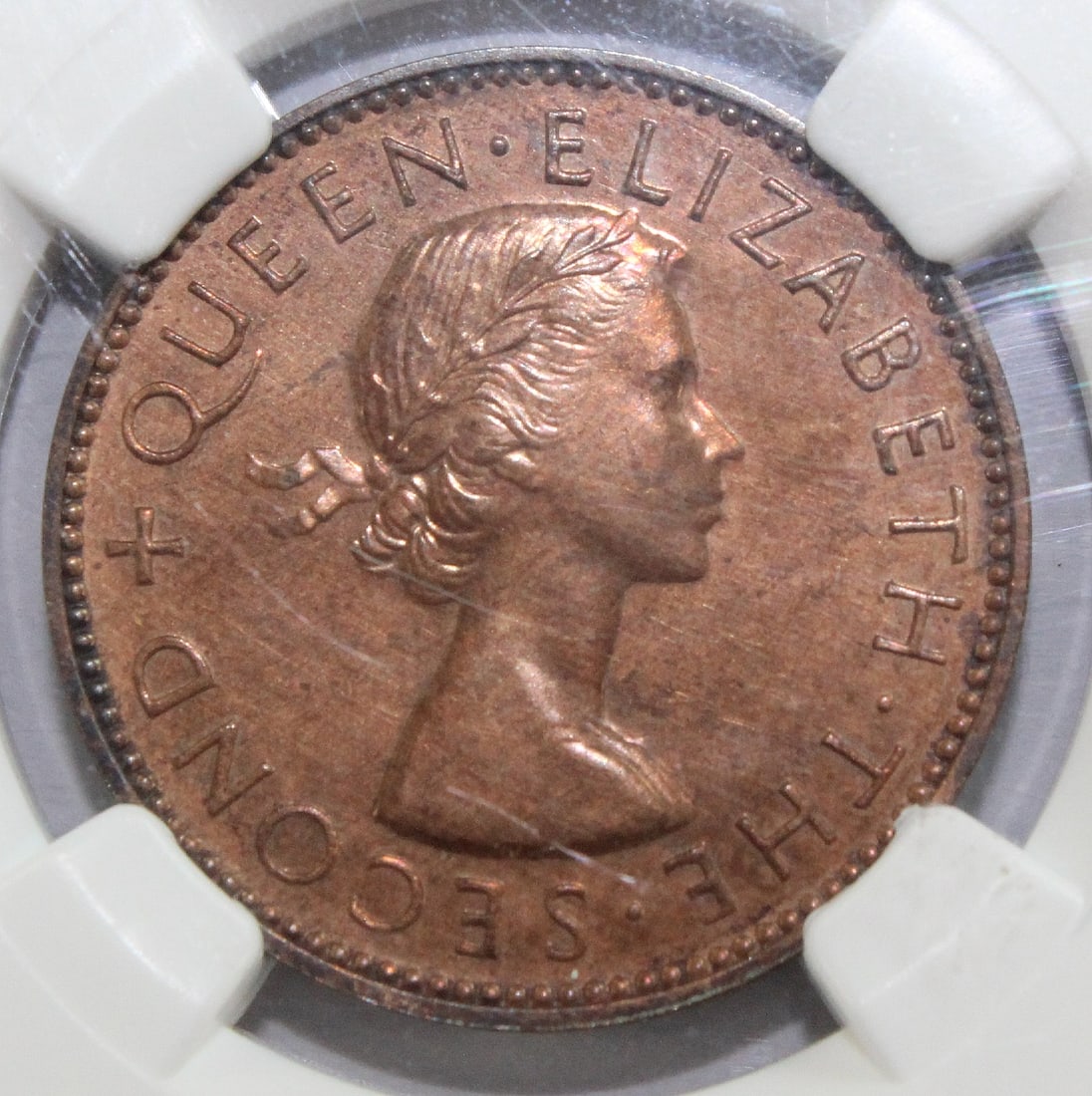 New Zealand 1954 Proof Halfpenny, NGC PF64 RB (Pop 1) - 2