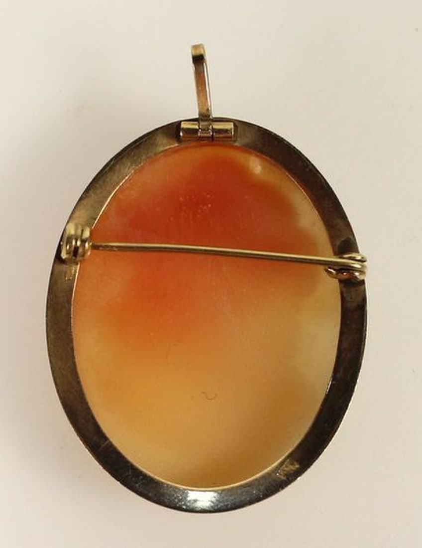 Vintage Shell Cameo Brooch / Pendant with 9ct Yellow Gold Surround - 2