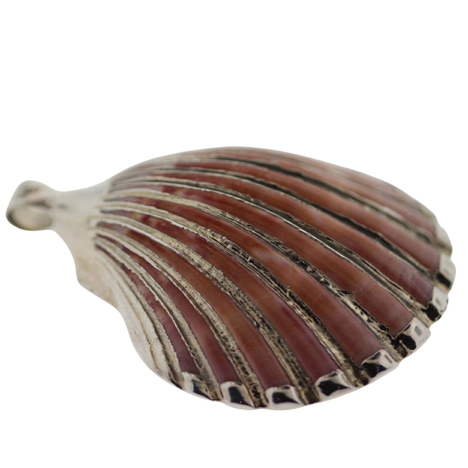 Natural Scallop Shell Pendant enhanced with Silver highlights: Exquisite Size Hangs 7cms Medium Jewelry