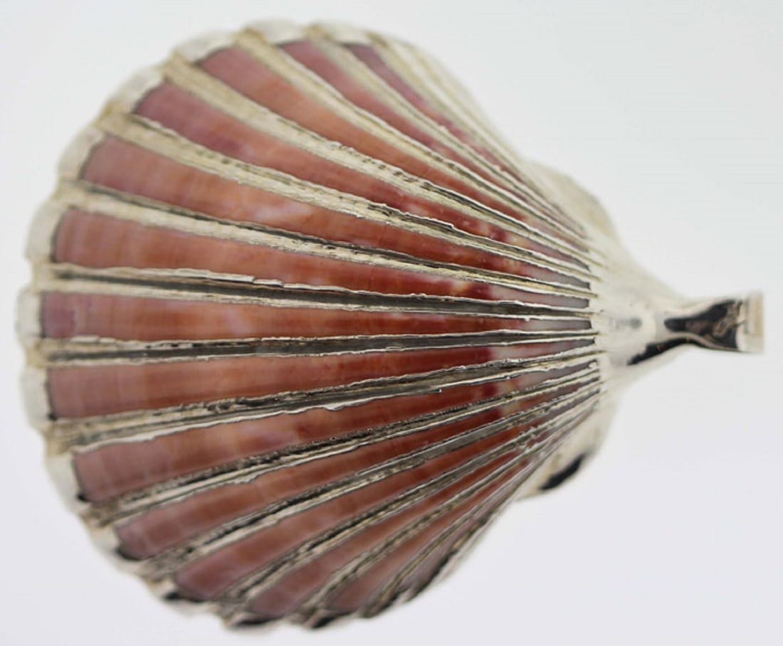 Natural Scallop Shell Pendant enhanced with Silver highlights - 2