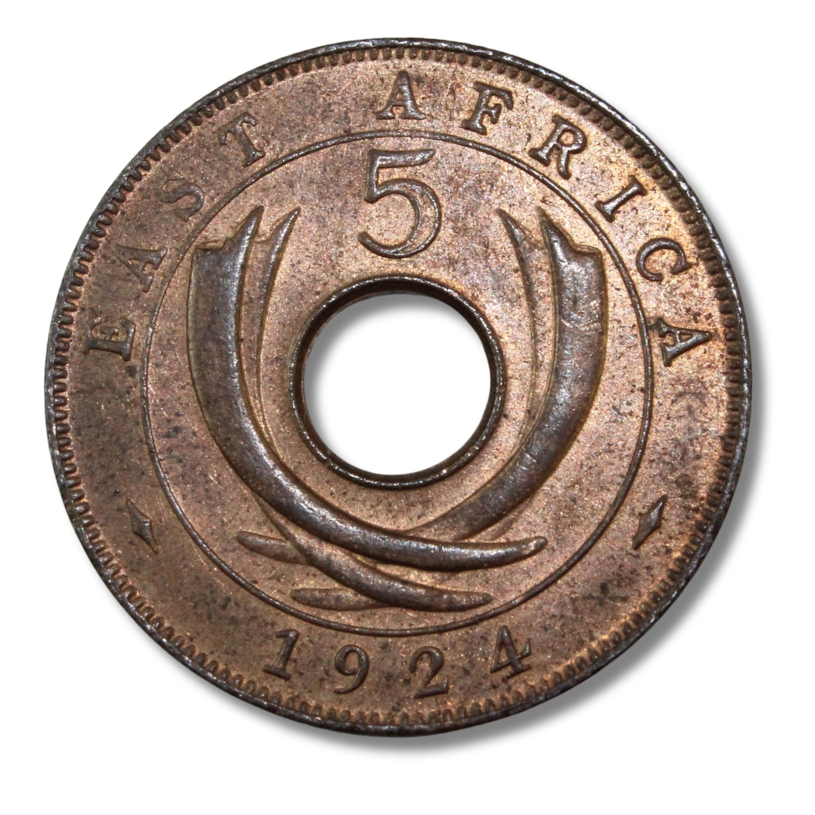 East Africa (British) 1924 (L) Five Cent, Uncirculated: Highest graded NGC MS63 RB & PCGS None. A competitive grade Condition Even lustre. Toned on high areas Medium Coins, Monies & Stamps Provenance Ex Mark Freehill Collection