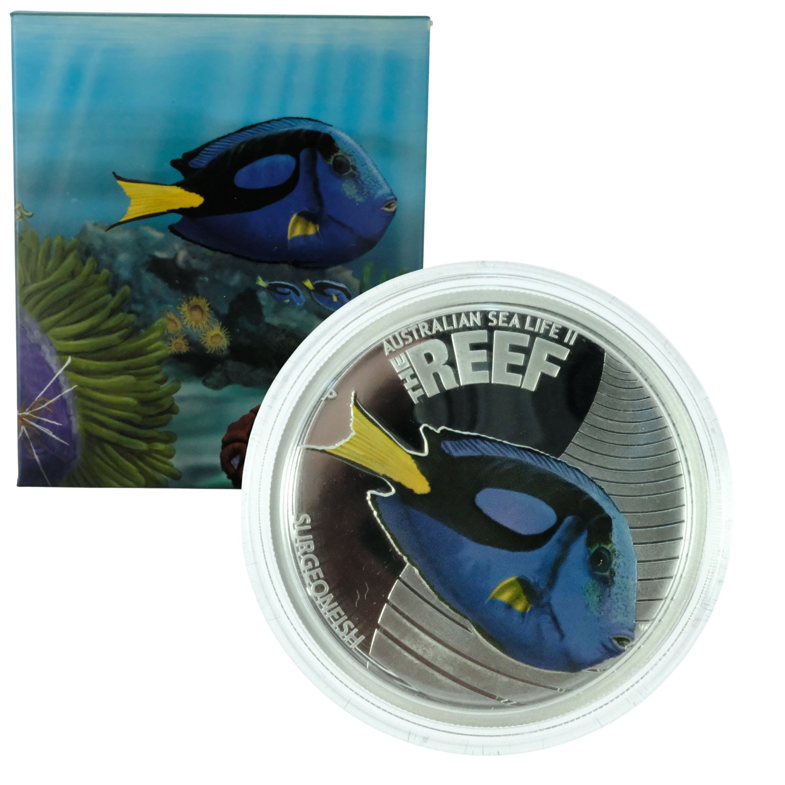 Australia 2012 Silver (999) 'Surgeonfish' Coloured Proof 50c, FDC: Cert 3629/10000 Size ASW 1/2 Troy oz Medium Coins, Monies & Stamps Exhibited Coins, Australia & New Zealand