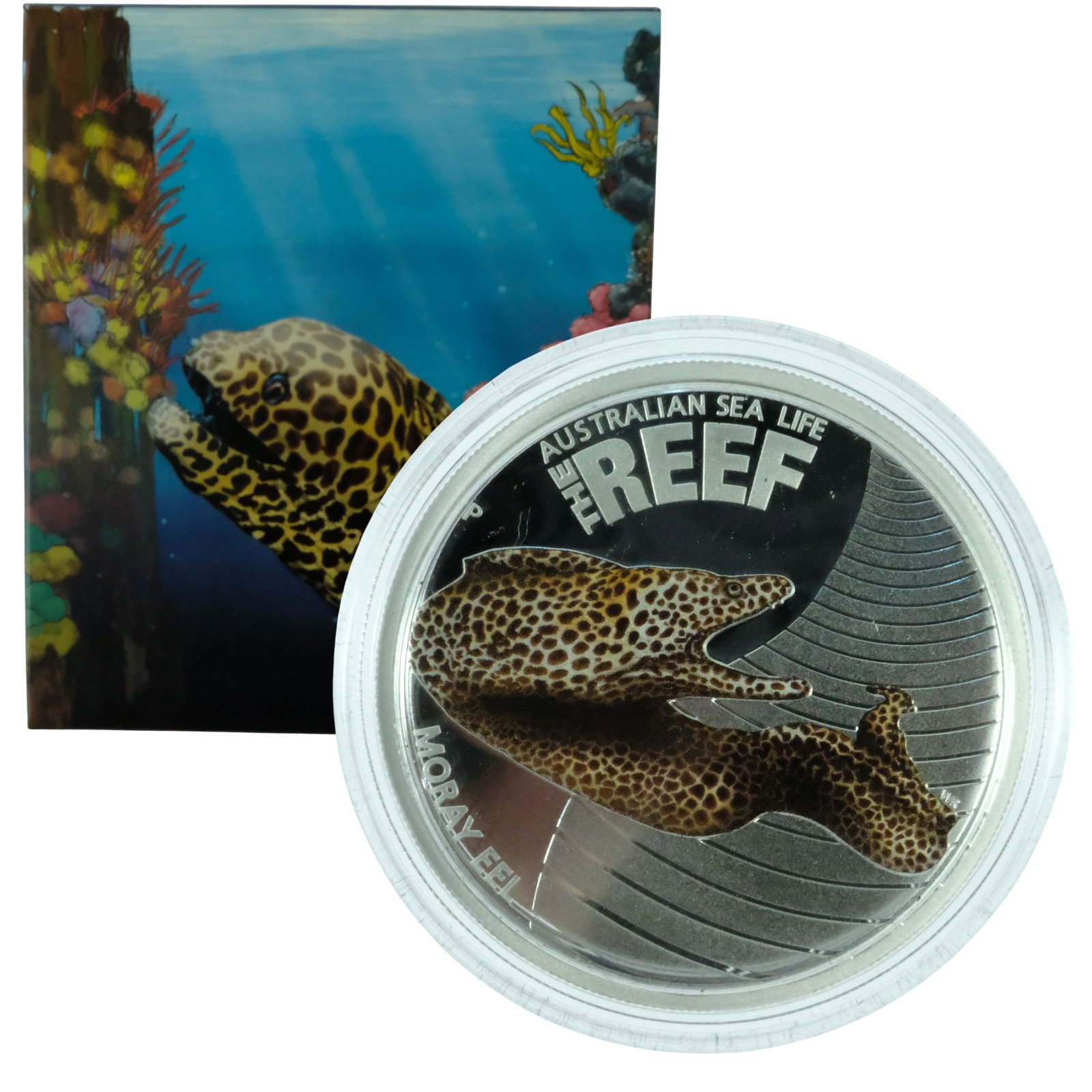 Australia 2010 Silver (999) 'Moray Eel' Coloured Proof 50c, FDC: Cert 5547/10000 Size ASW 1/2 Troy oz Medium Coins, Monies & Stamps Exhibited Coins, Australia & New Zealand