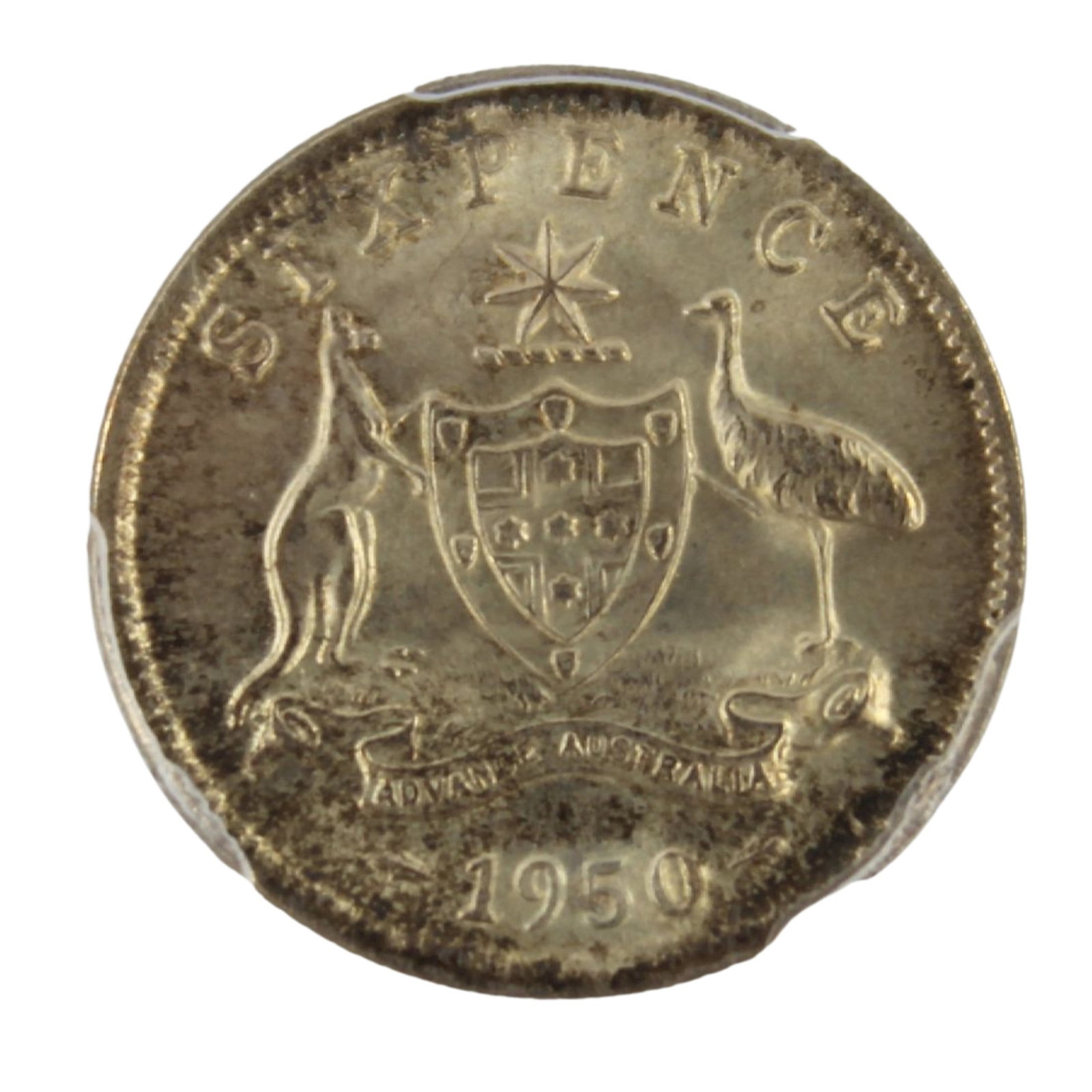 Australia 1950 Sixpence, PCGS MS64: Competitive grade Size . Medium Coins, Monies & Stamps Exhibited Coins, Australia & New Zealand