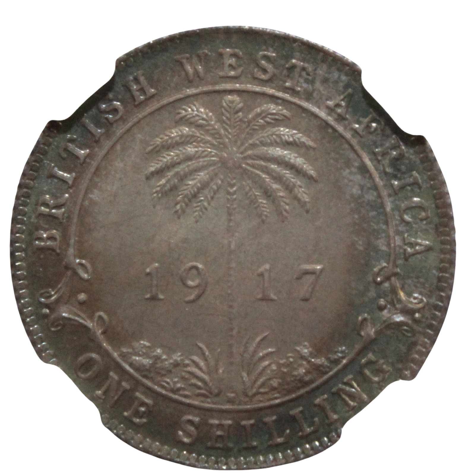 British West Africa 1917 H 'Specimen' Shilling, NGC SP66 (Pop 1): Highest graded NGC SP67 (1) & PCGS SP68 (1) Condition Beautiful Old-world tone. Hard to believe they come any better. Flawless and deserving of an upgrade Medium Collectibles Provenance Ex Jerome