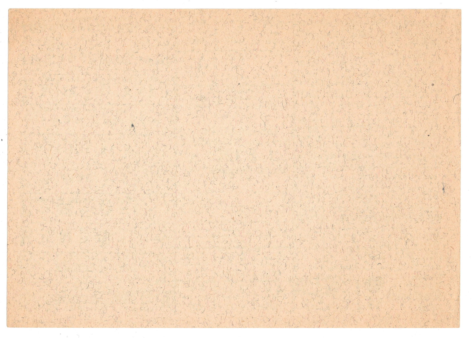 North Rhine Westphalia Germany 1948 Monthly Food Ration Card for Adults over 20 Years, Uncirc - 2
