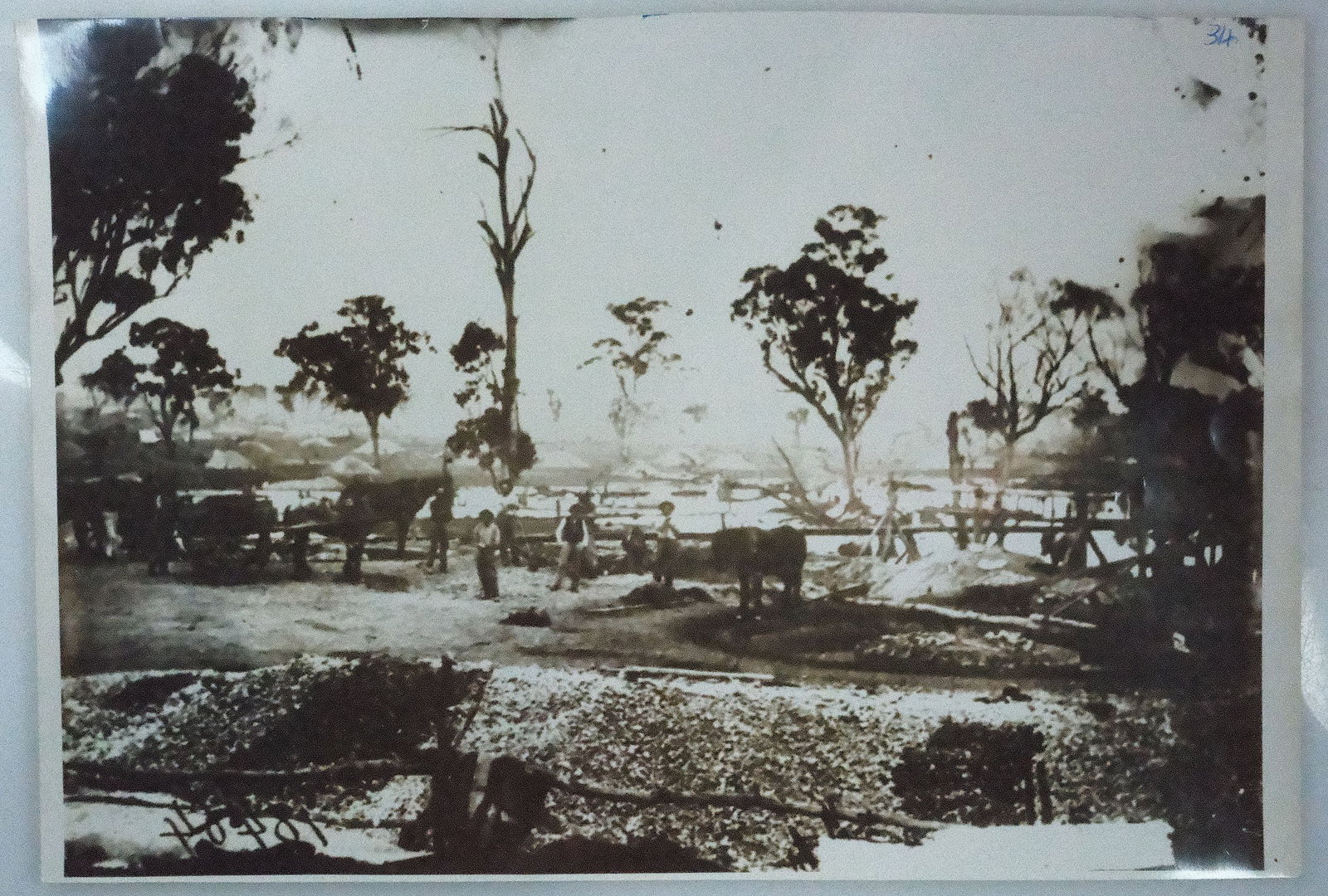 Early Photographs of Gulgong in the N.S.W Goldfields, NSW (10) - 8