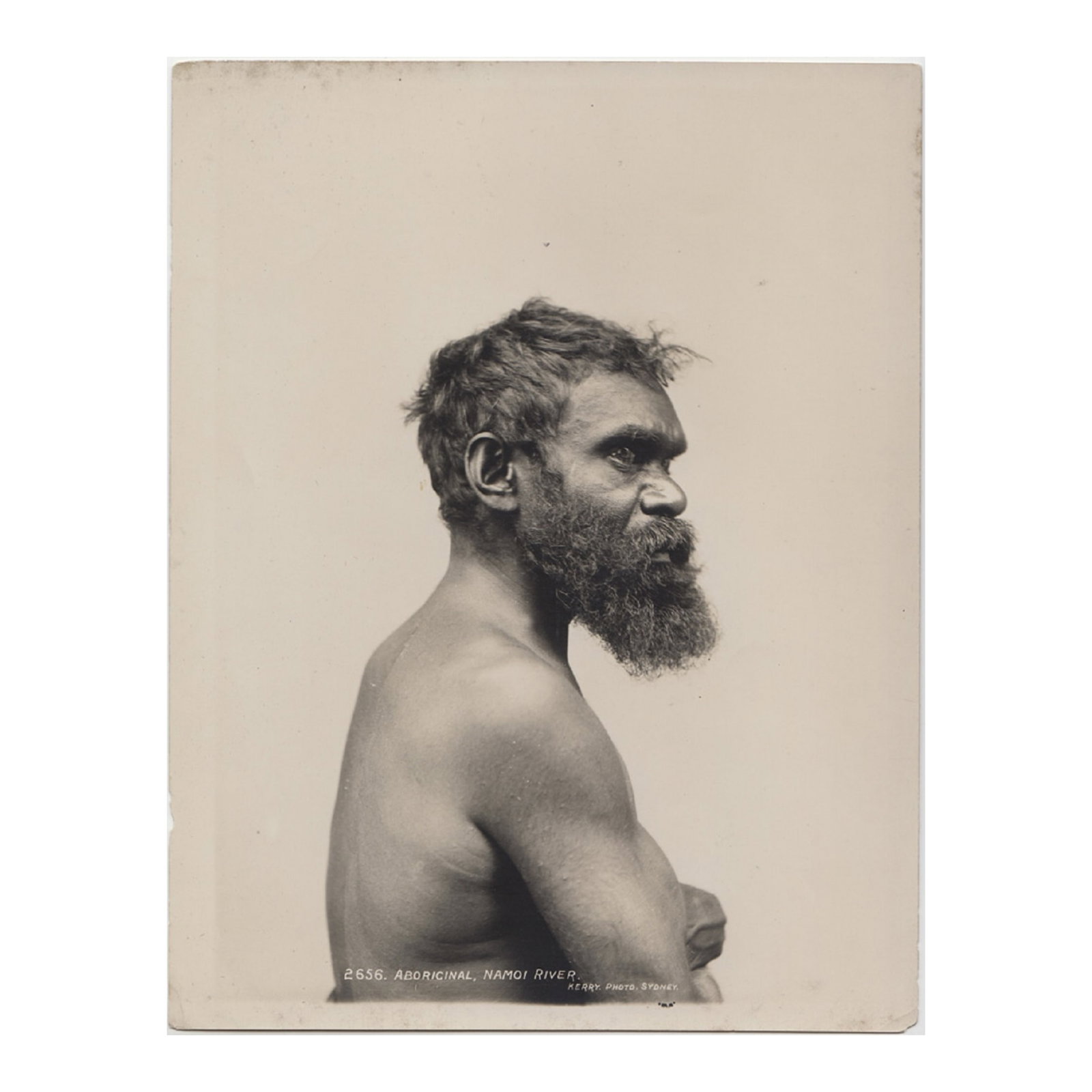 Charles Kerry Sepia Photograph.'2656 / ABORIGINAL, NAMOI RIVER. / KERRY. PHOTO. SYDNEY.: An early reprint from the original 'Kerry' glass negative. The sepia reprints are likely the working stock of the Kerry Studio that Tyrell acquired along with the original glass negatives. Stamped on