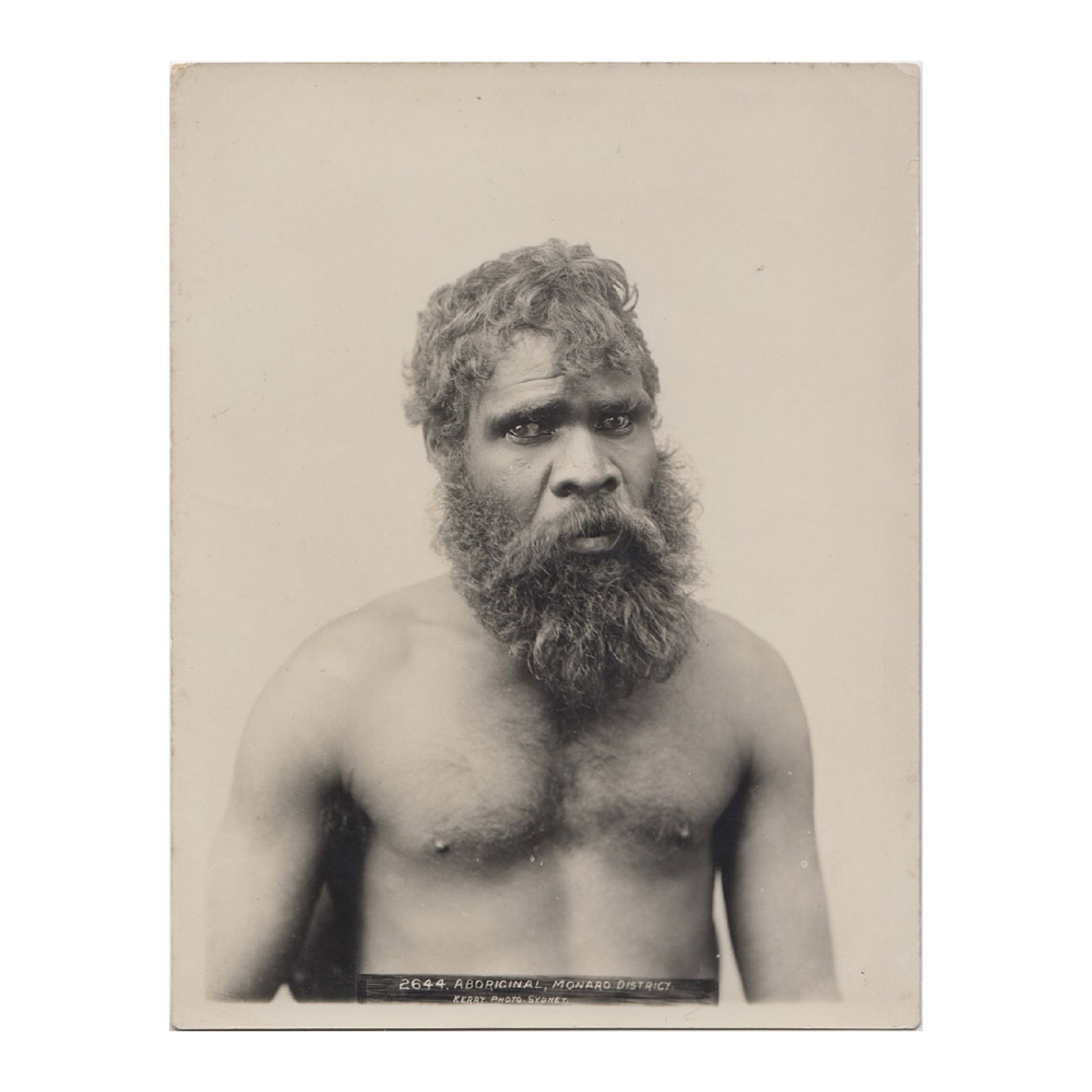 Charles Kerry Sepia Photograph '2644 / ABORIGINAL, MONARO DISTRICT. / KERRY. PHOTO. SYDNEY.': An early reprint from the original 'Kerry' glass negative. The sepia reprints are likely the working stock of the Kerry Studio that Tyrell acquired along with the original glass negatives. Stamped on