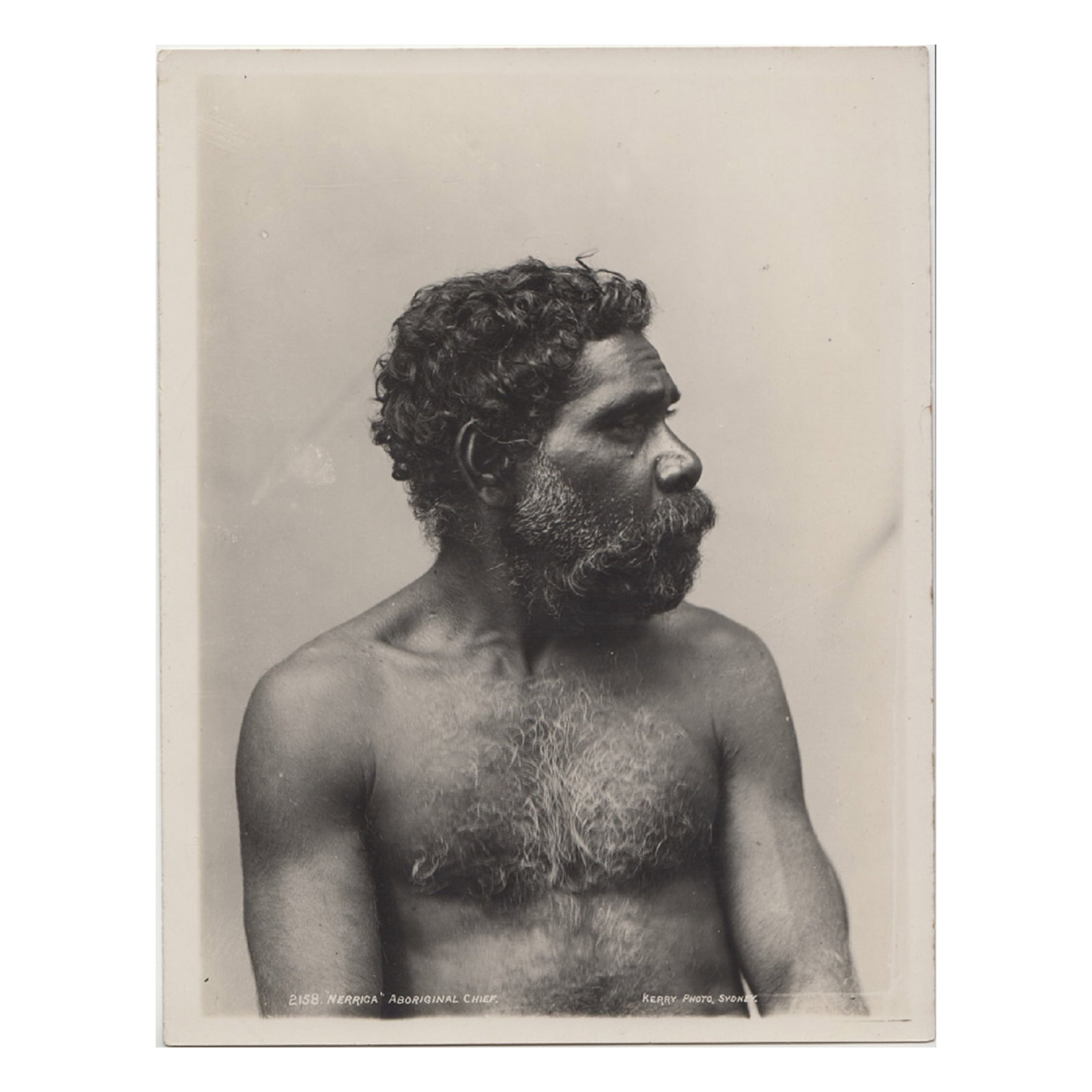 Charles Kerry Sepia Photograph '2158 / "NERRIGA," ABORIGINAL CHIEF. / KERRY. PHOTO. SYDNEY.': An early reprint from the original 'Kerry' glass negative. The sepia reprints are likely the working stock of the Kerry Studio that Tyrell acquired along with the original glass negatives. Stamped on